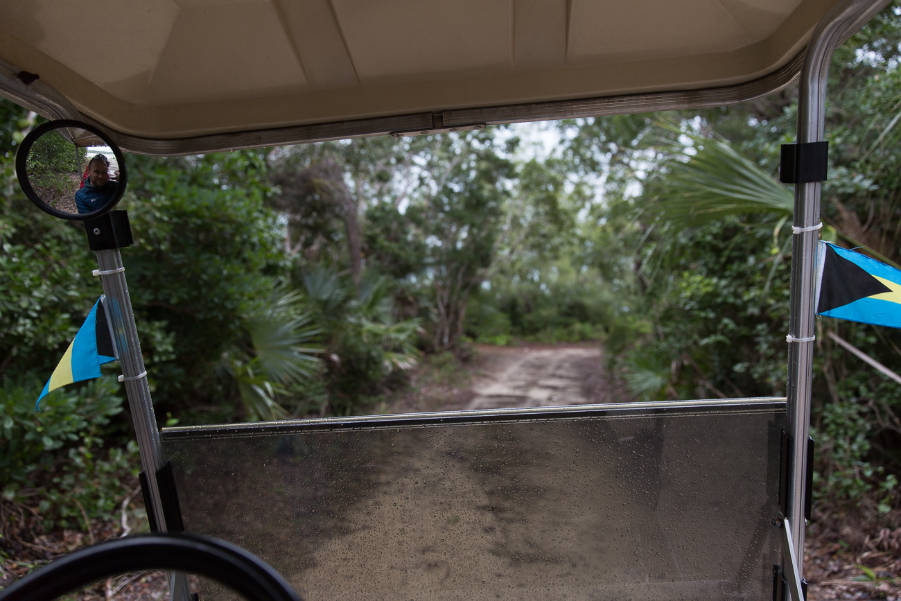 Golf cart rides through the jungle