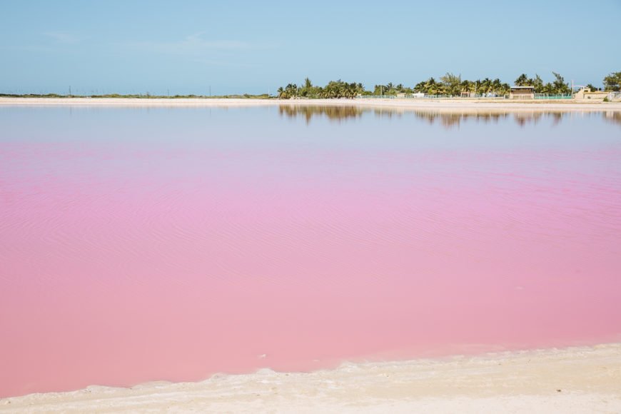 Las Coloradas How to visit the Pink Lagoon in Mexico an updated