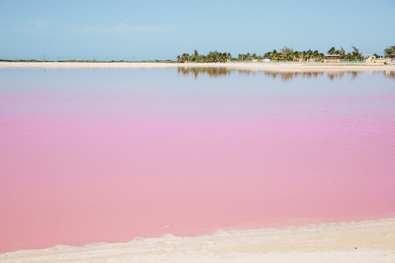 The Pink Lagoon at Las Coloradas, Yucatan
