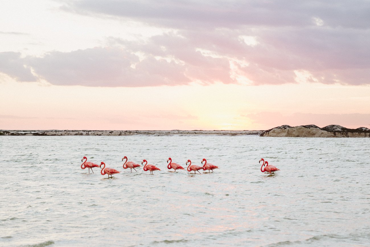 Visiting Pink Lakes Las Coloradas