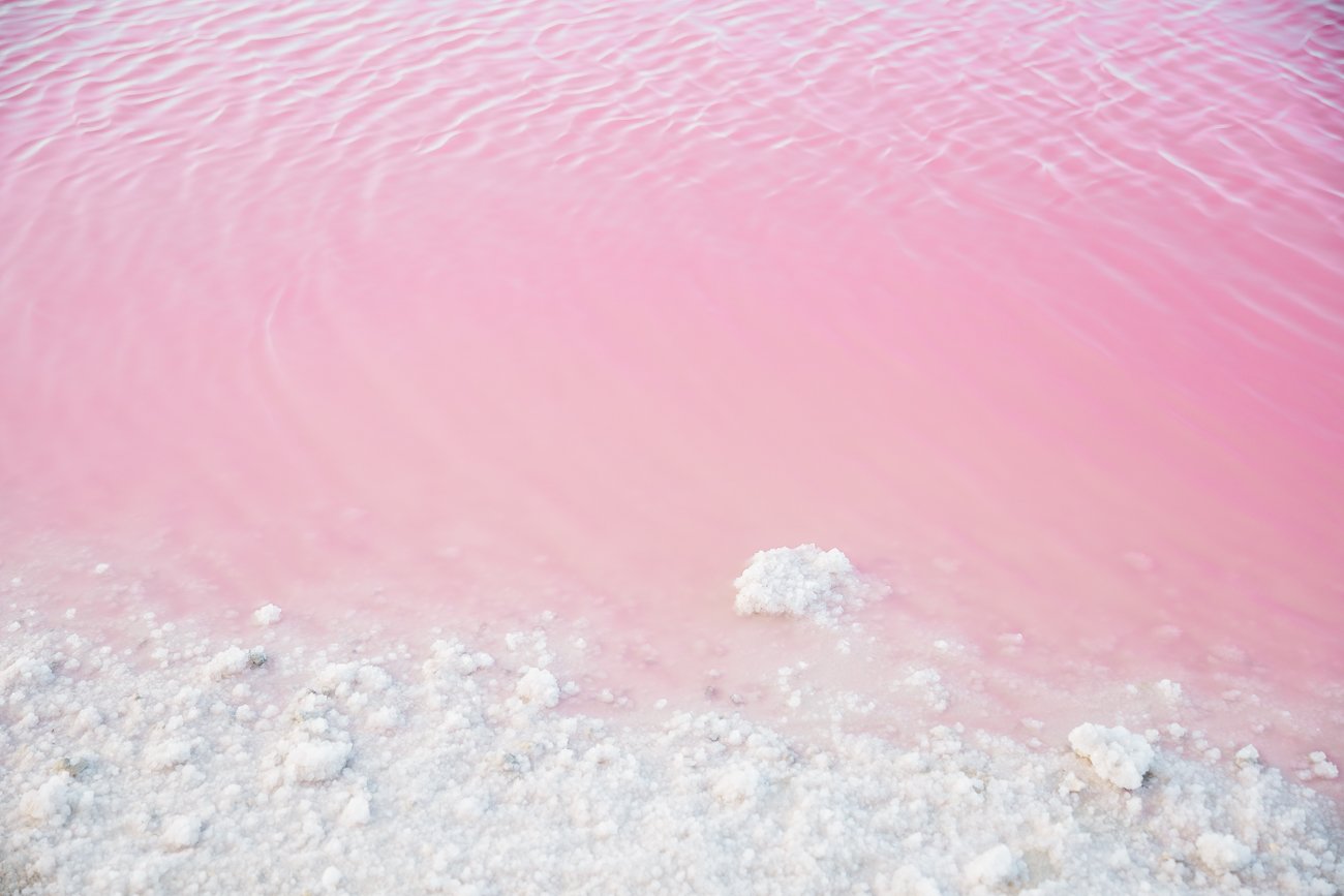 Pink Lagoon at Las Coloradas Yucatan Mexico