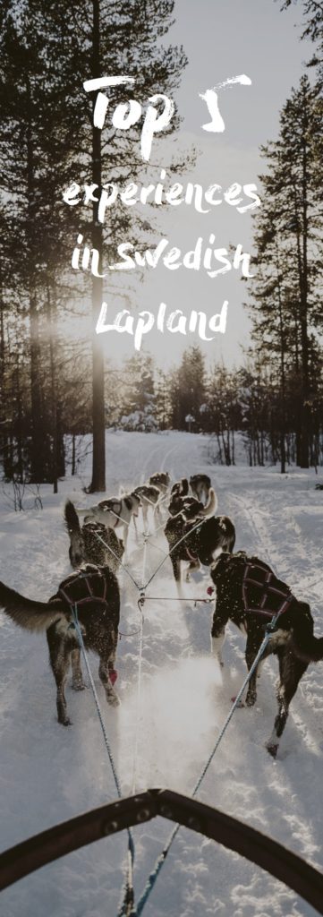 Top 5 experiences in Swedish Lapland