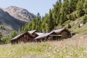 Gampe Thaya in Summer Ötztal Tyrol Austria