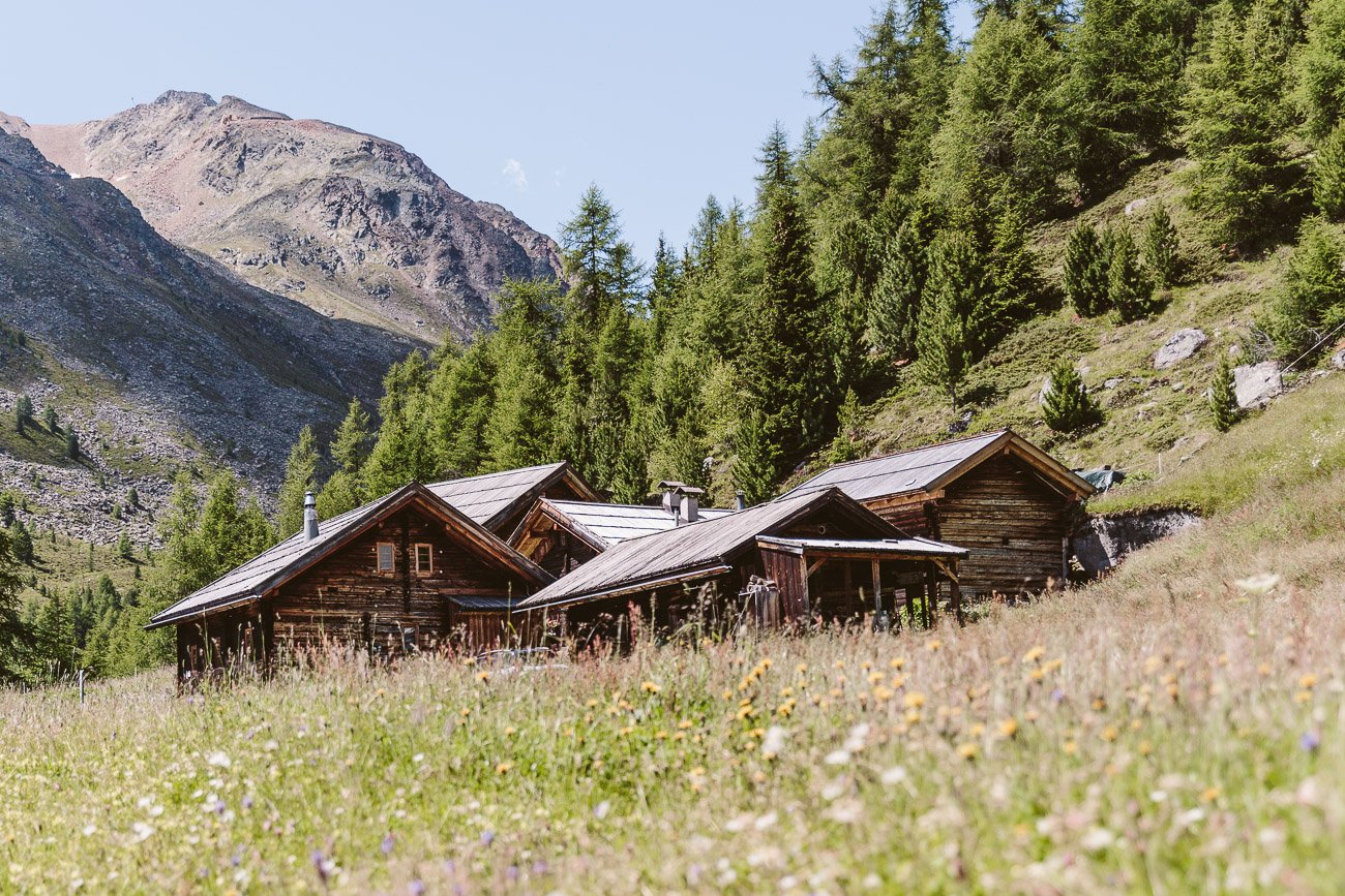 Gampe Thaya in Summer Ötztal Tyrol Austria