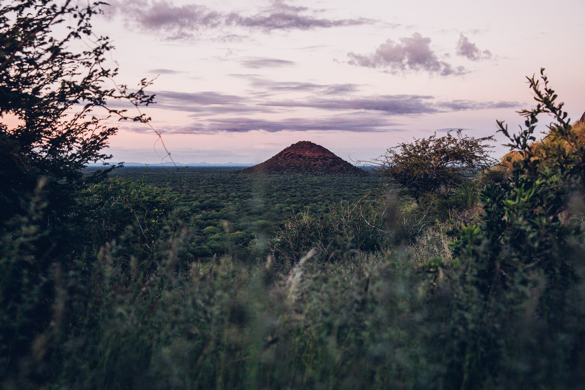 Sunrise at Erindi 