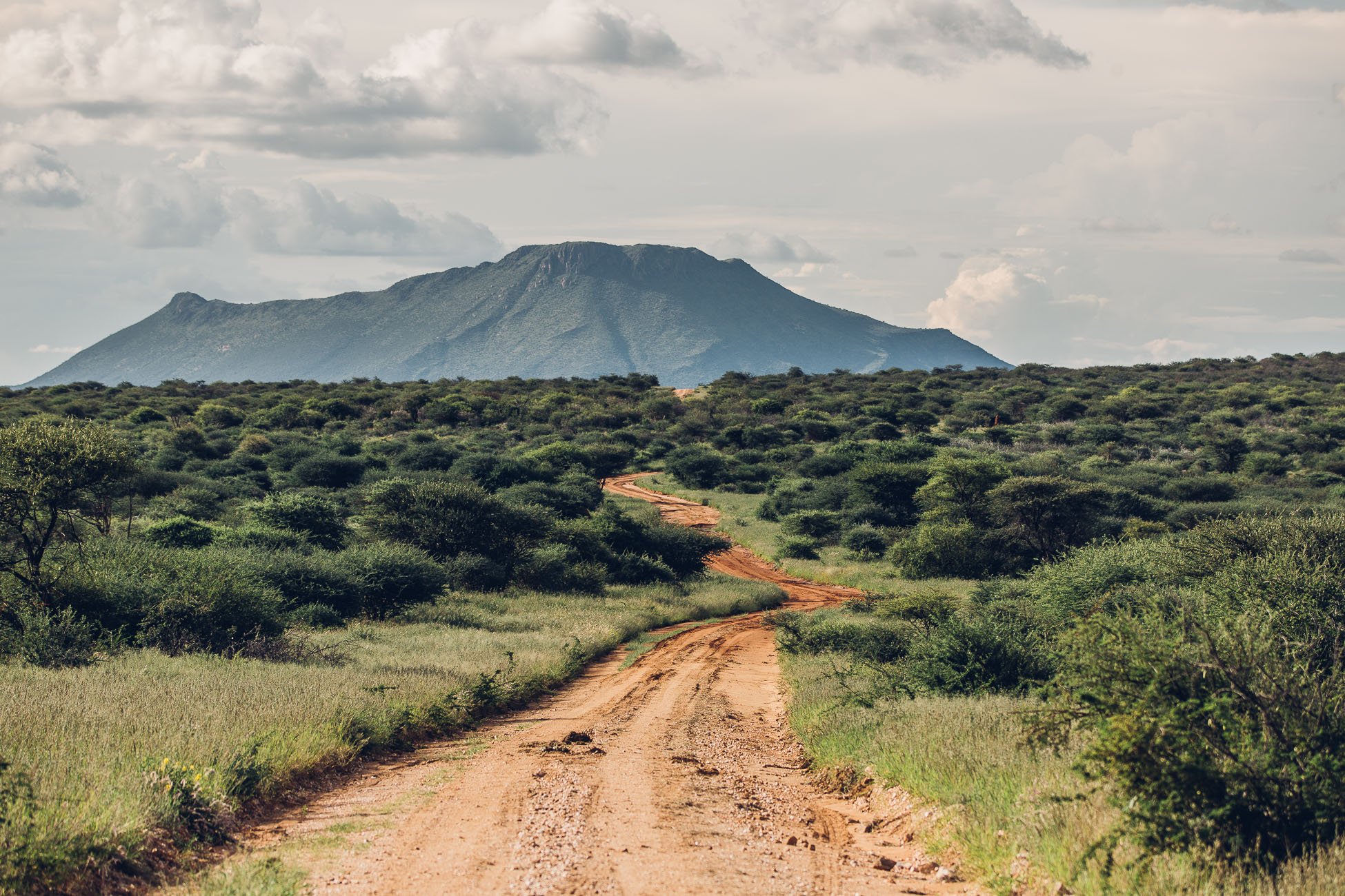 Endless roads of Erindi Private Game Reserve