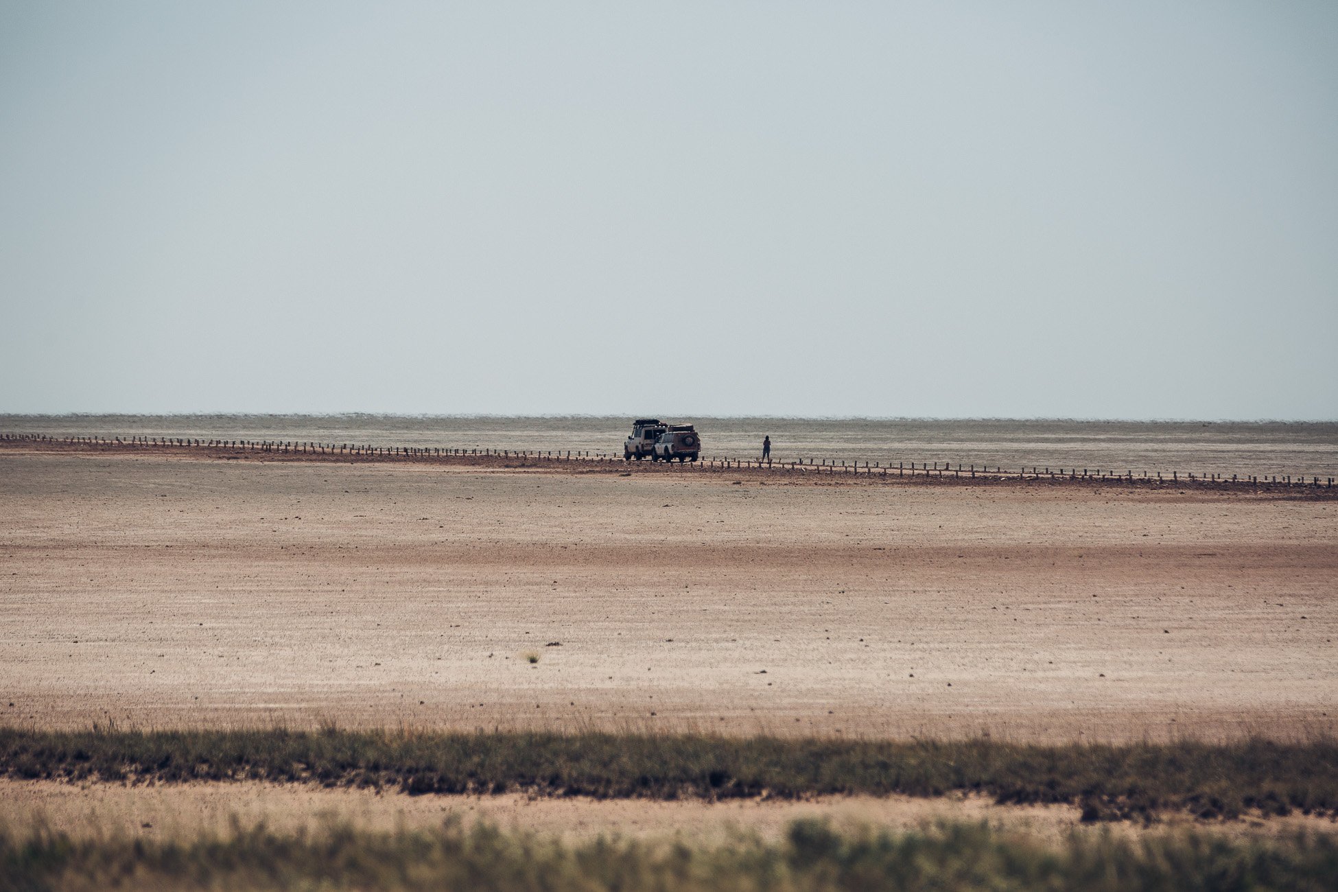 Self-driving safari at Etosha National Park