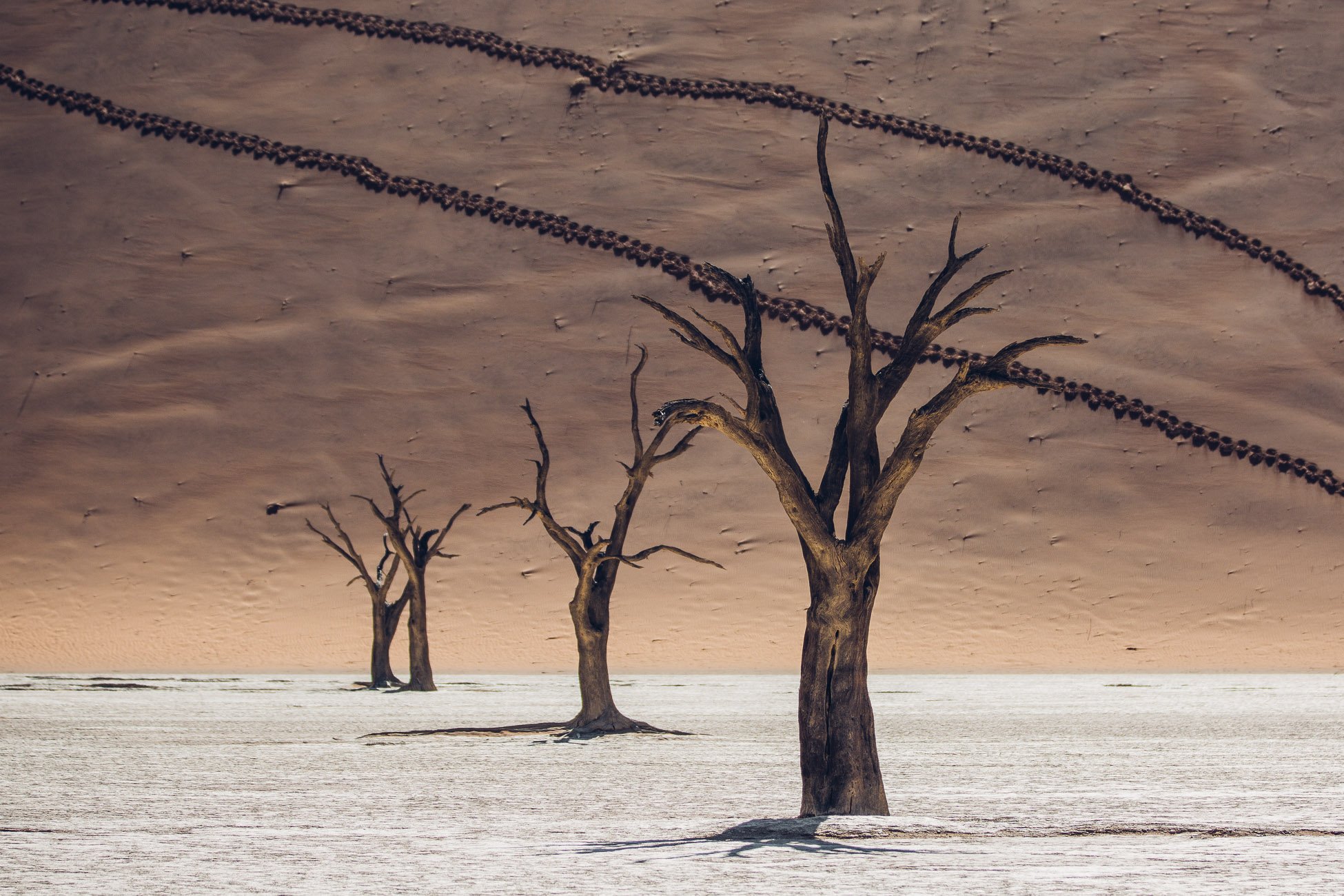 Deadvlei Sossusvlei Namibia