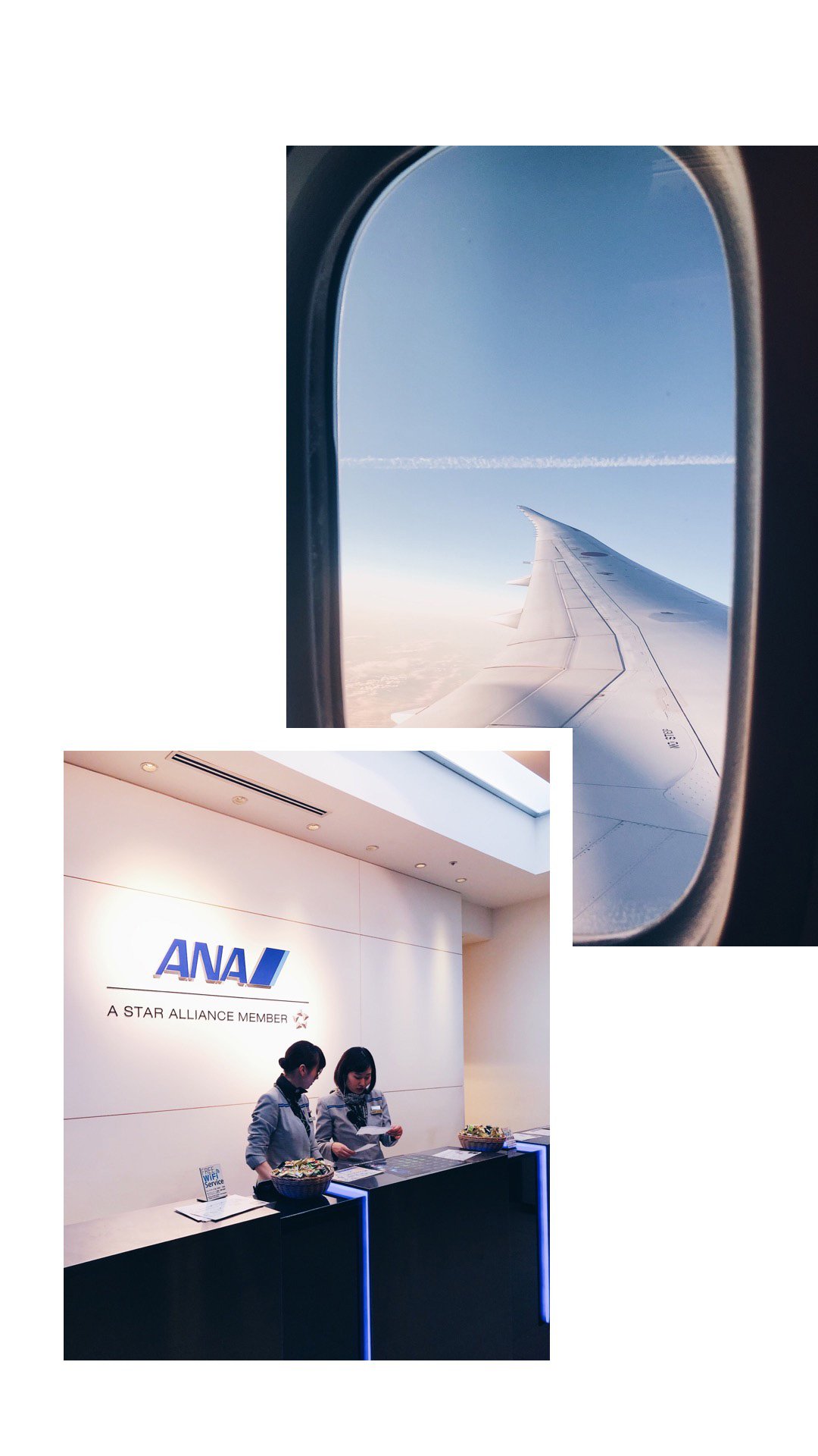 ANA Dreamliner flight from Vienna to Tokyo