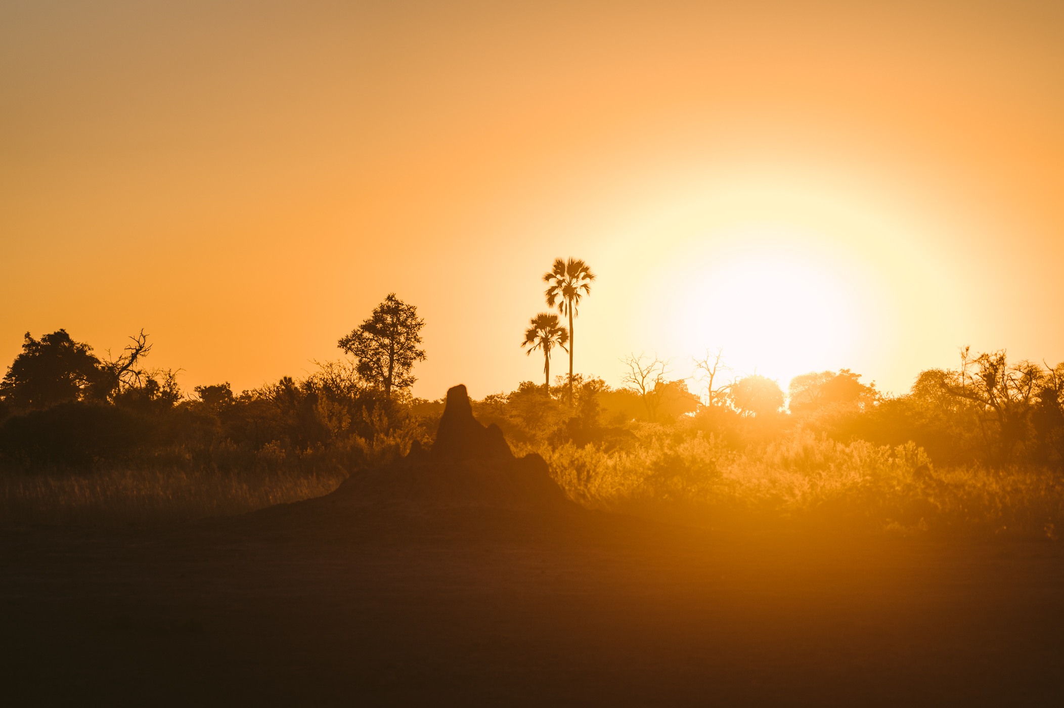 Sunset in the Okavango Delta in Botswana