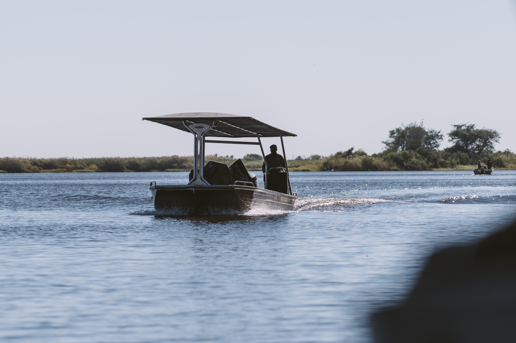 Chobe River Safari with Pangolin Photo tours