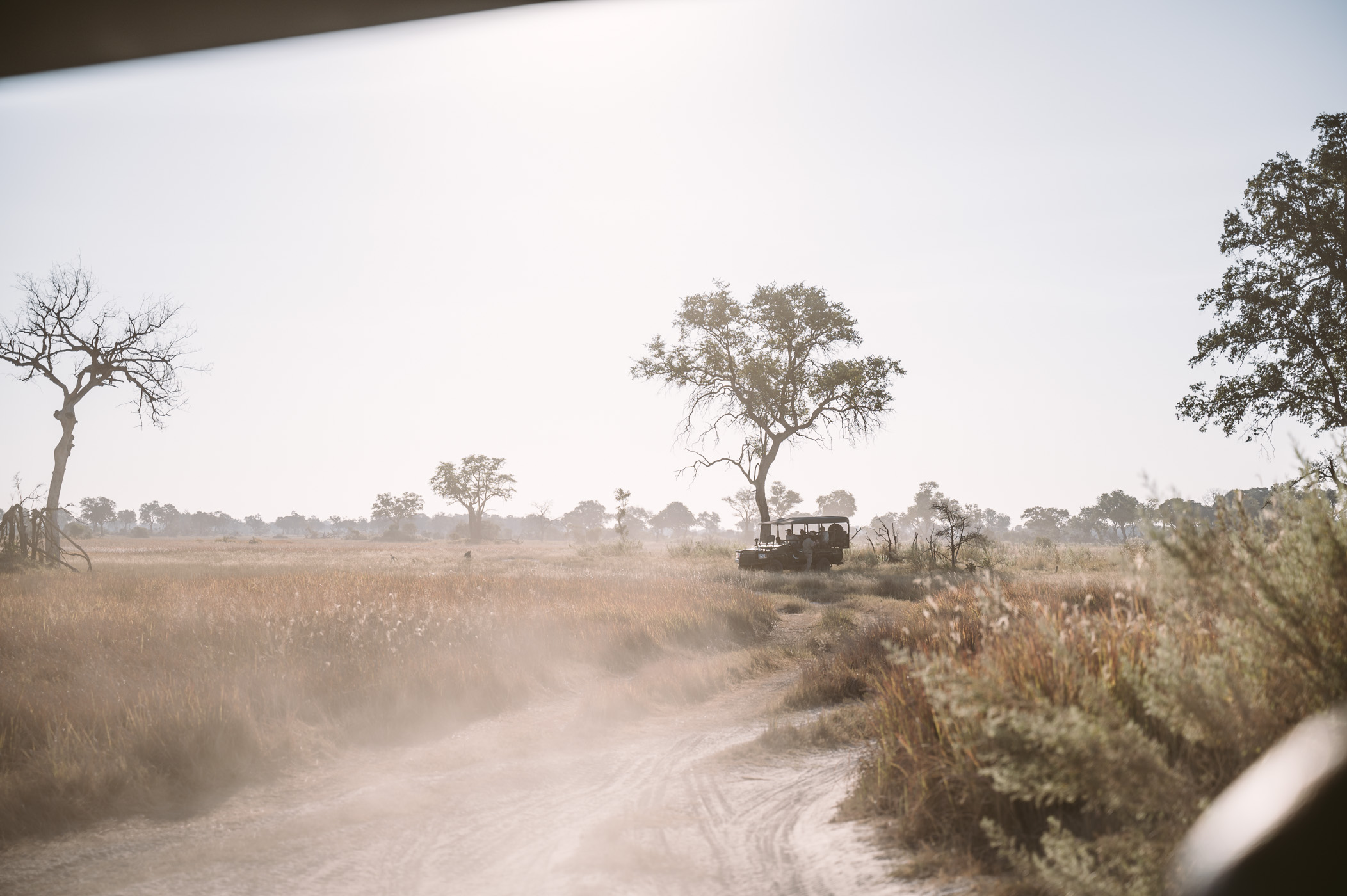 Exploring the private concession of Xaranna in the Okavango Delta