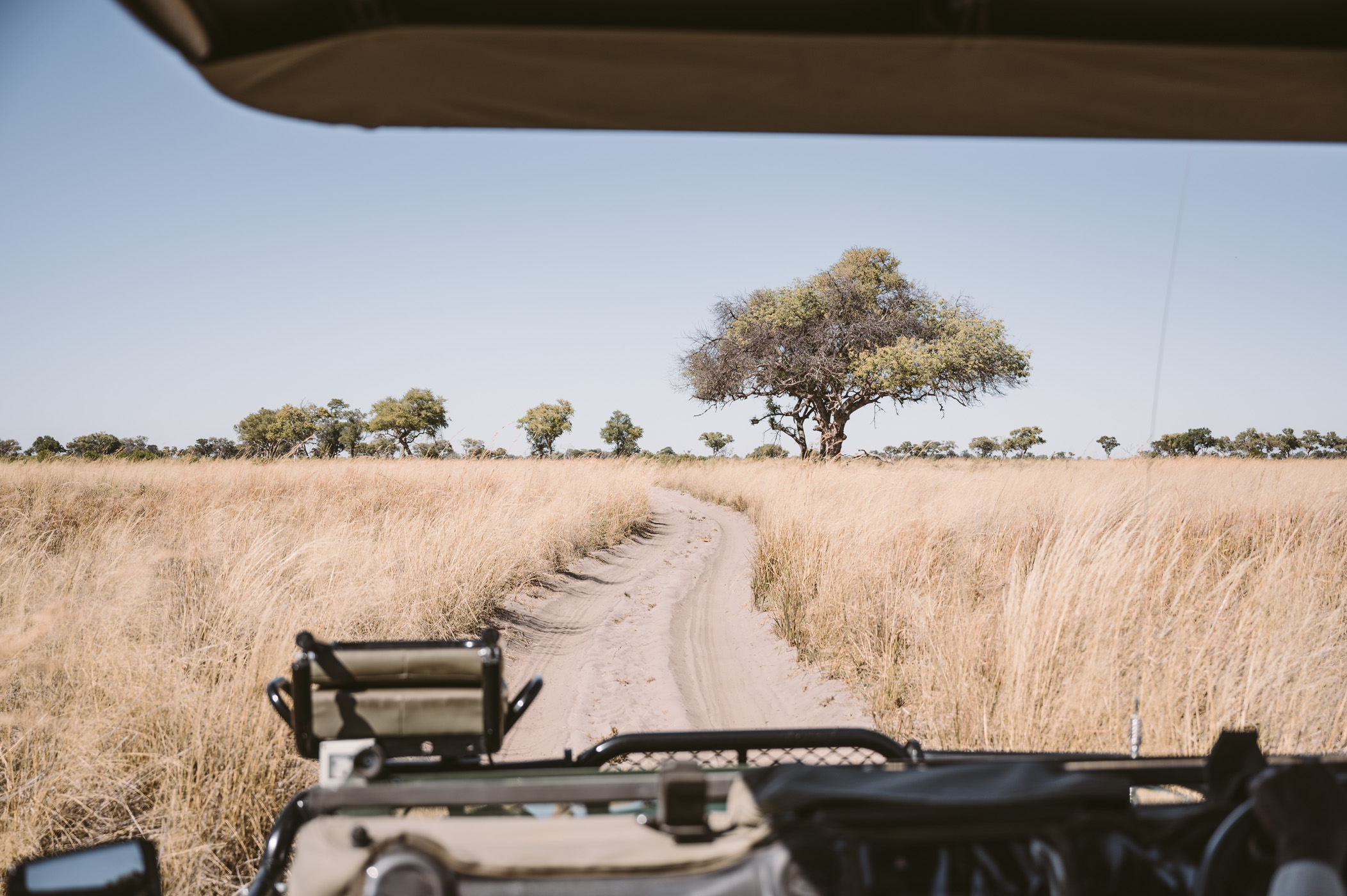 Private concession in the Okavango Delta