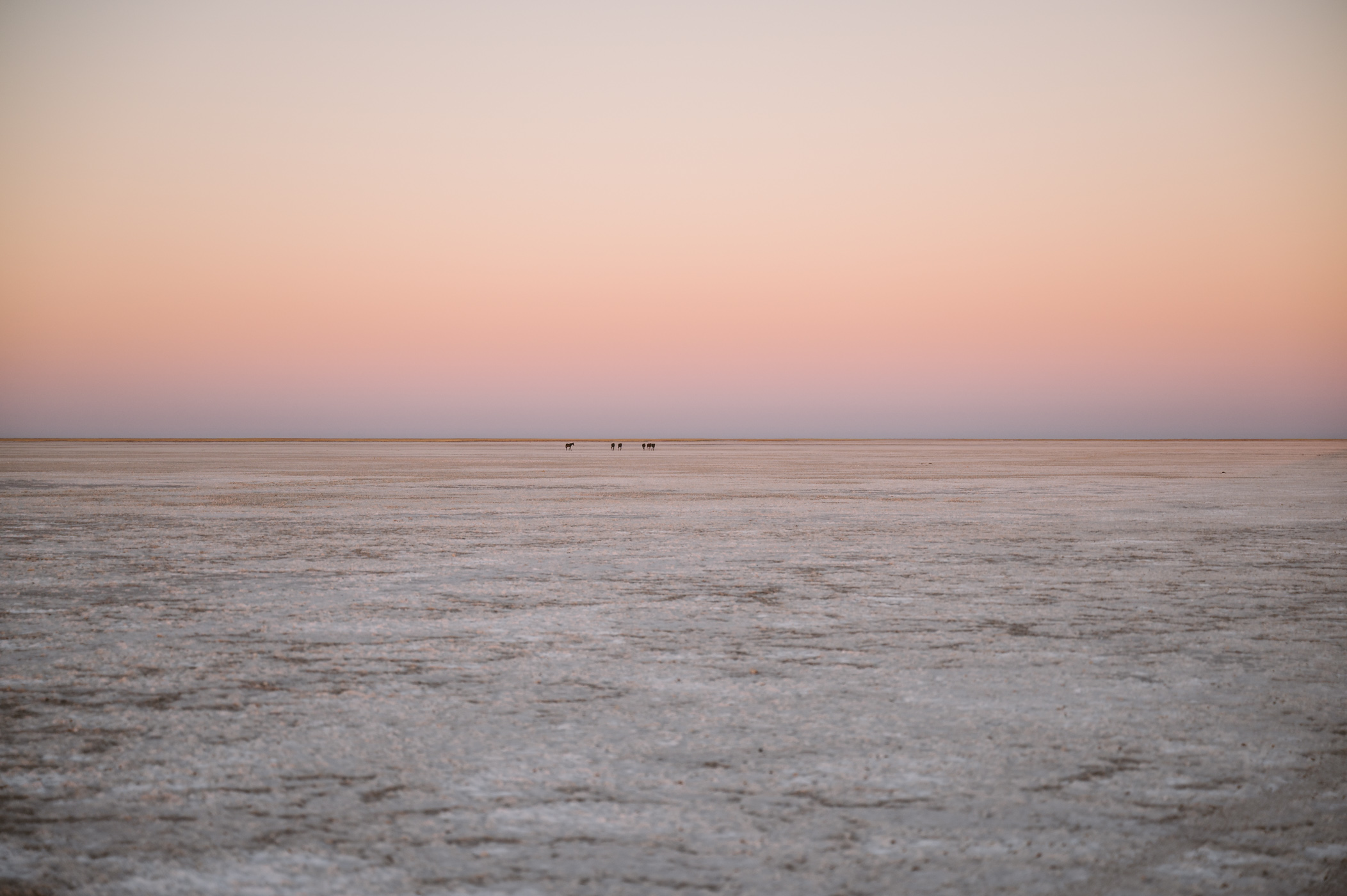 Makgadikgadi Salt Pan in Botswana