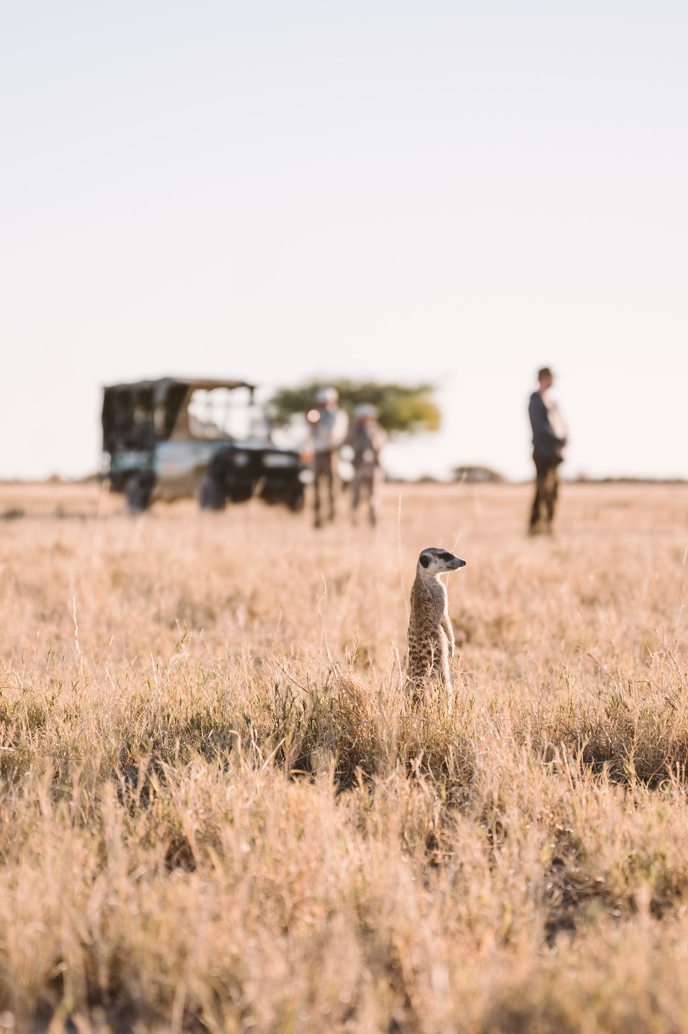 How to plan your dream family safari - Alfred