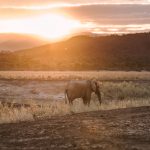 Lower Zambezi National Park