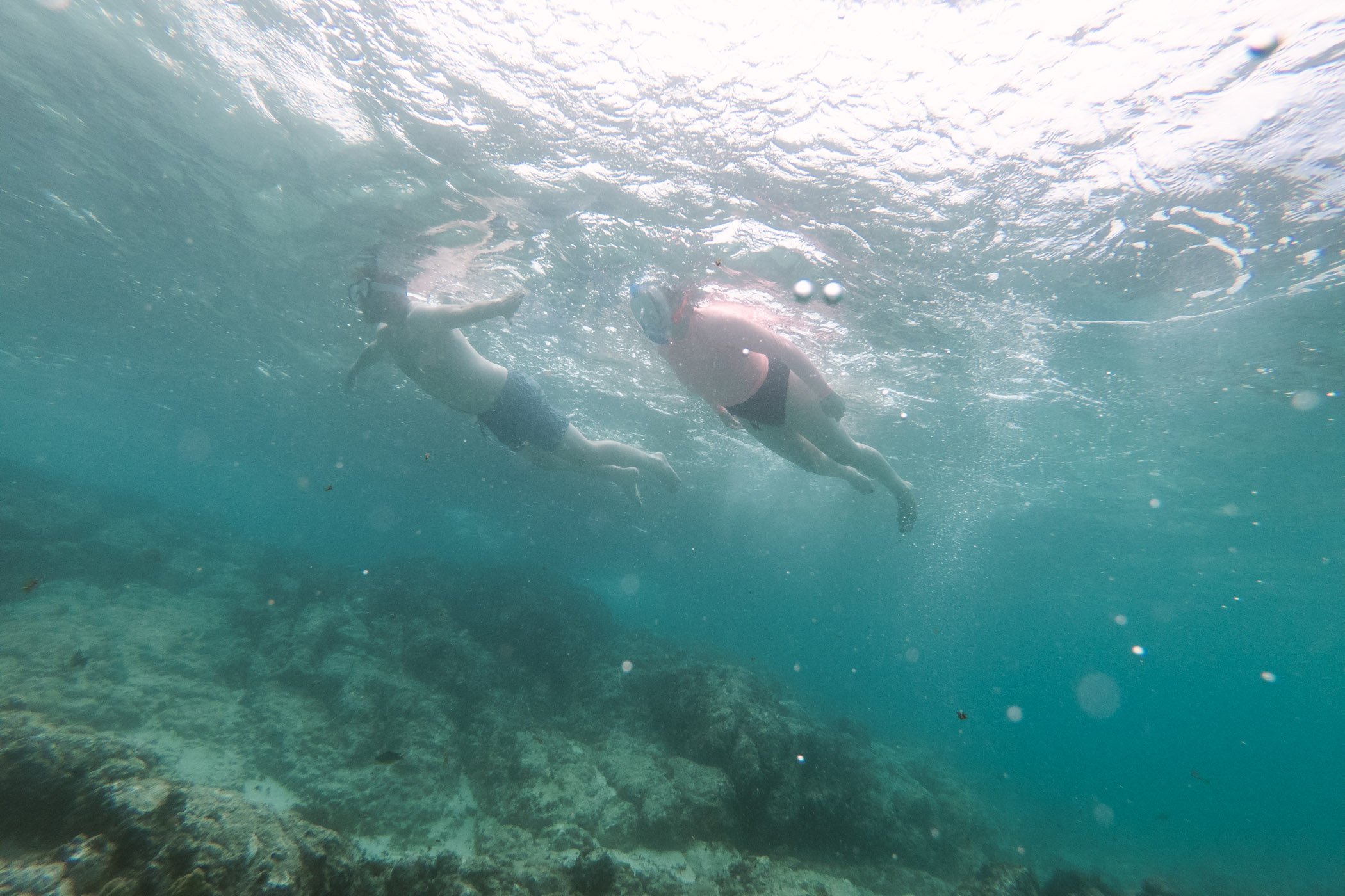 Snorkeling on Boa Vista