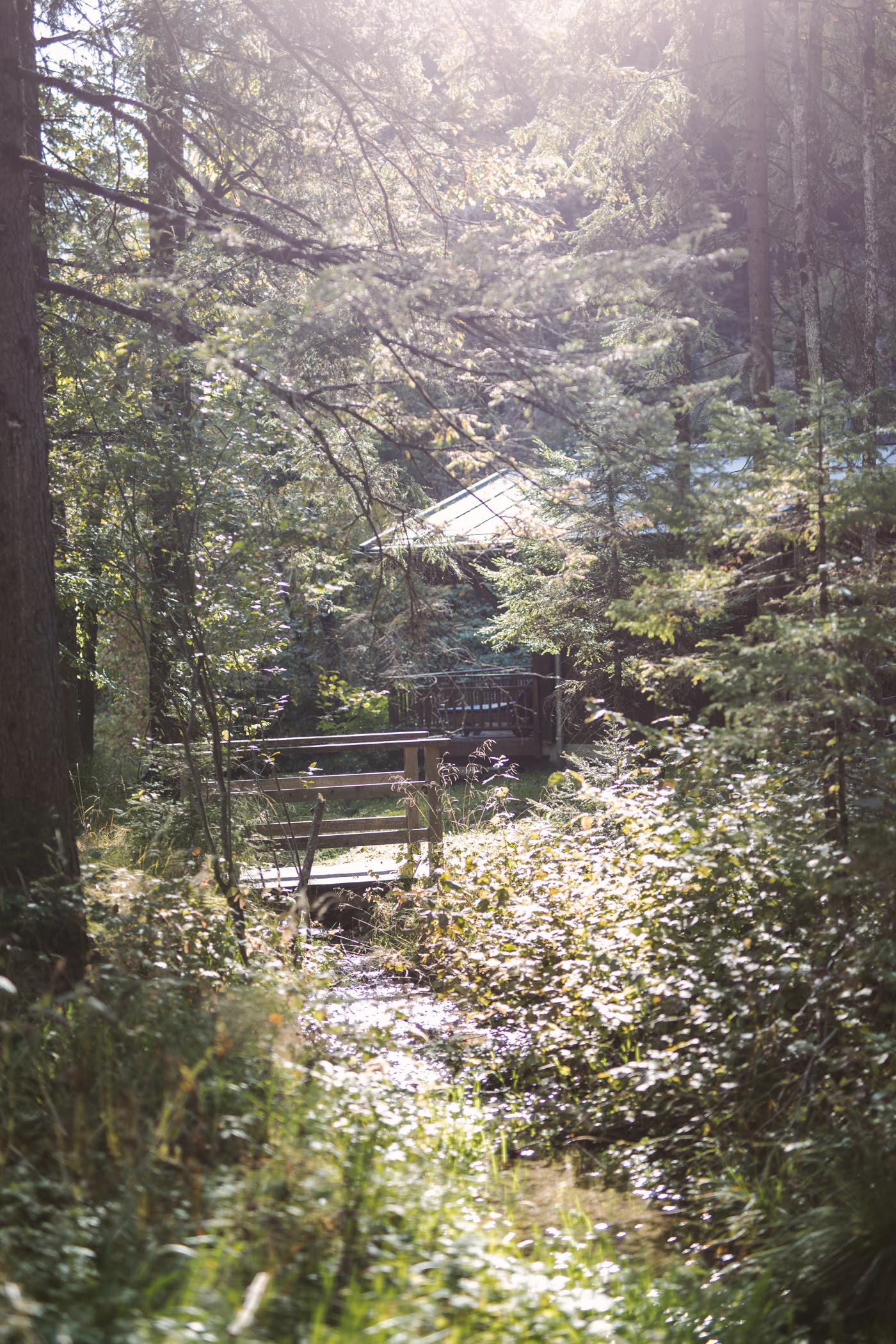 Der Daberer Biohotel forest sauna
