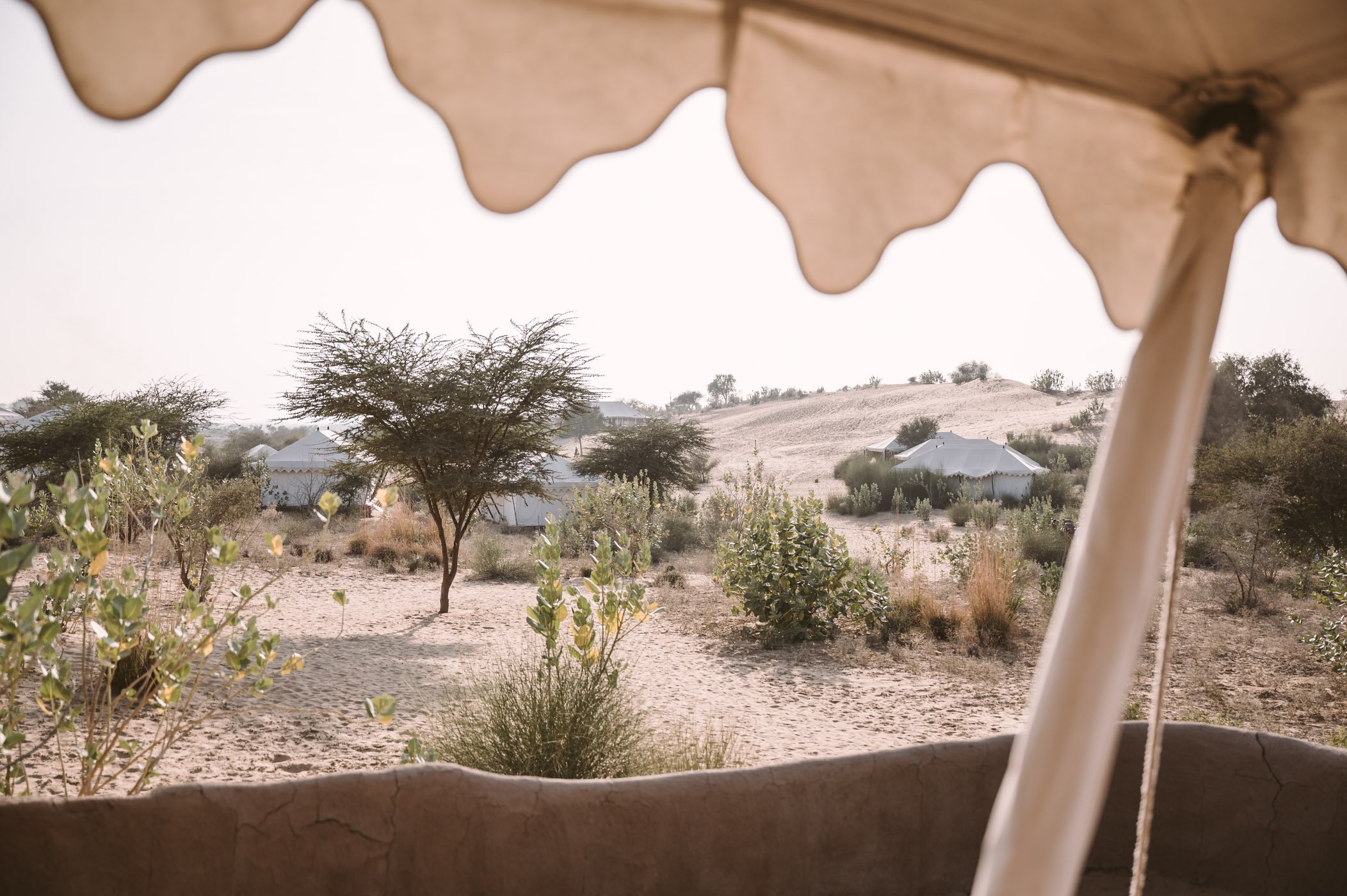 Desert camp in Rajasthan