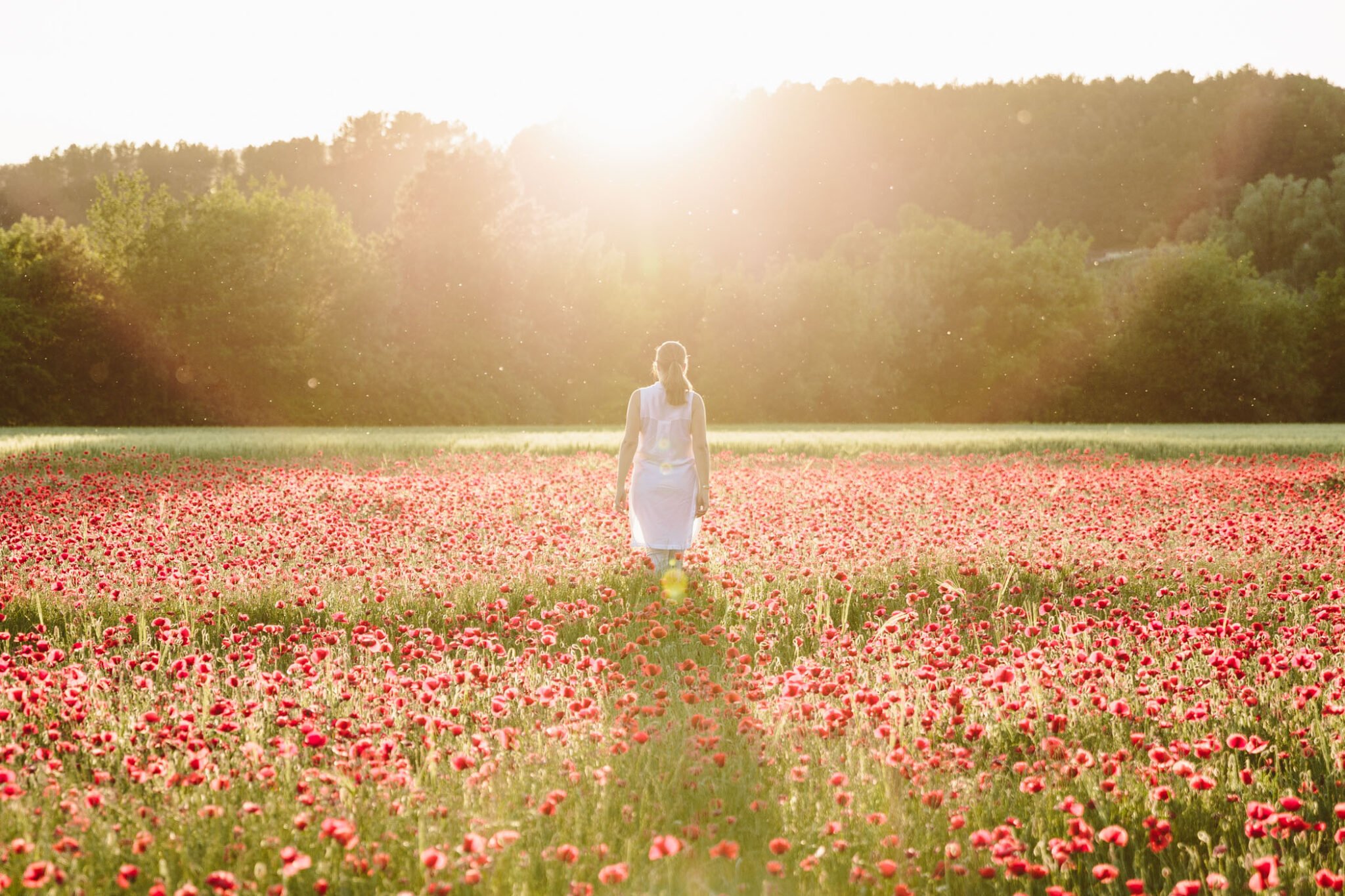 Standing in a poppy field in summer
