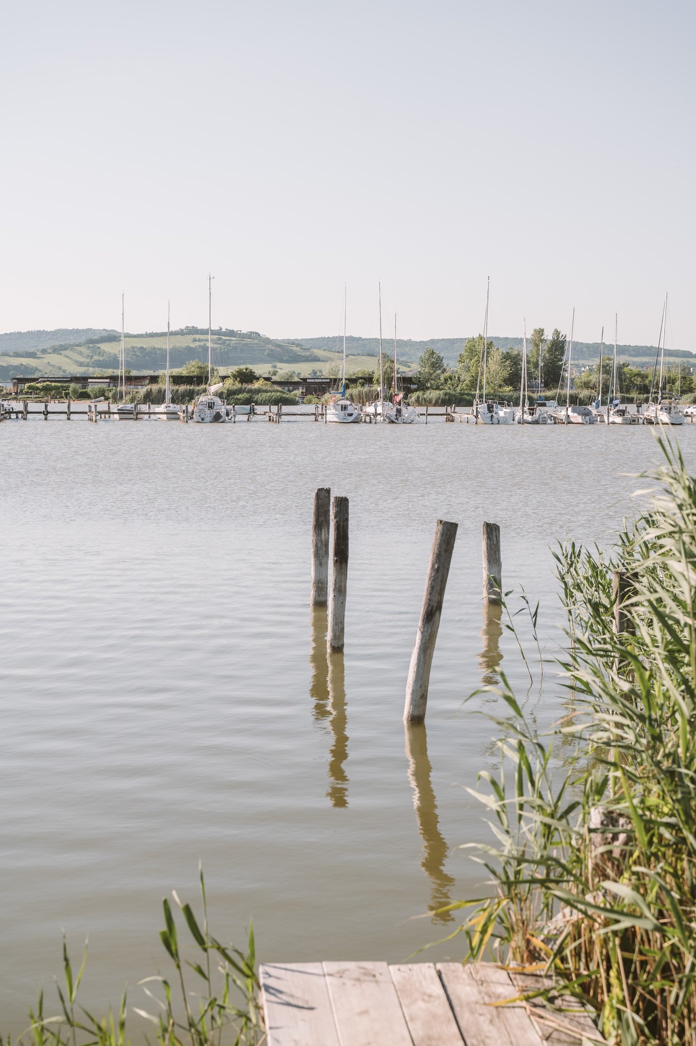 Yacht harbour of Jois at lake Neusiedlersee