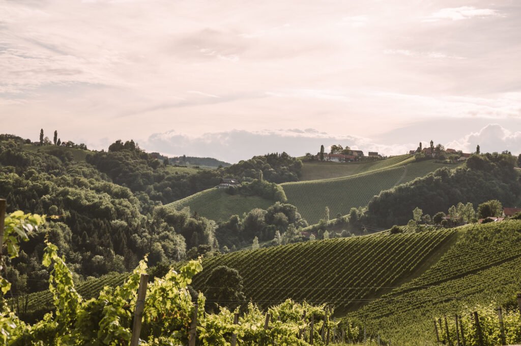 Southern Styria: From lavender festivals to hot air balloons ...