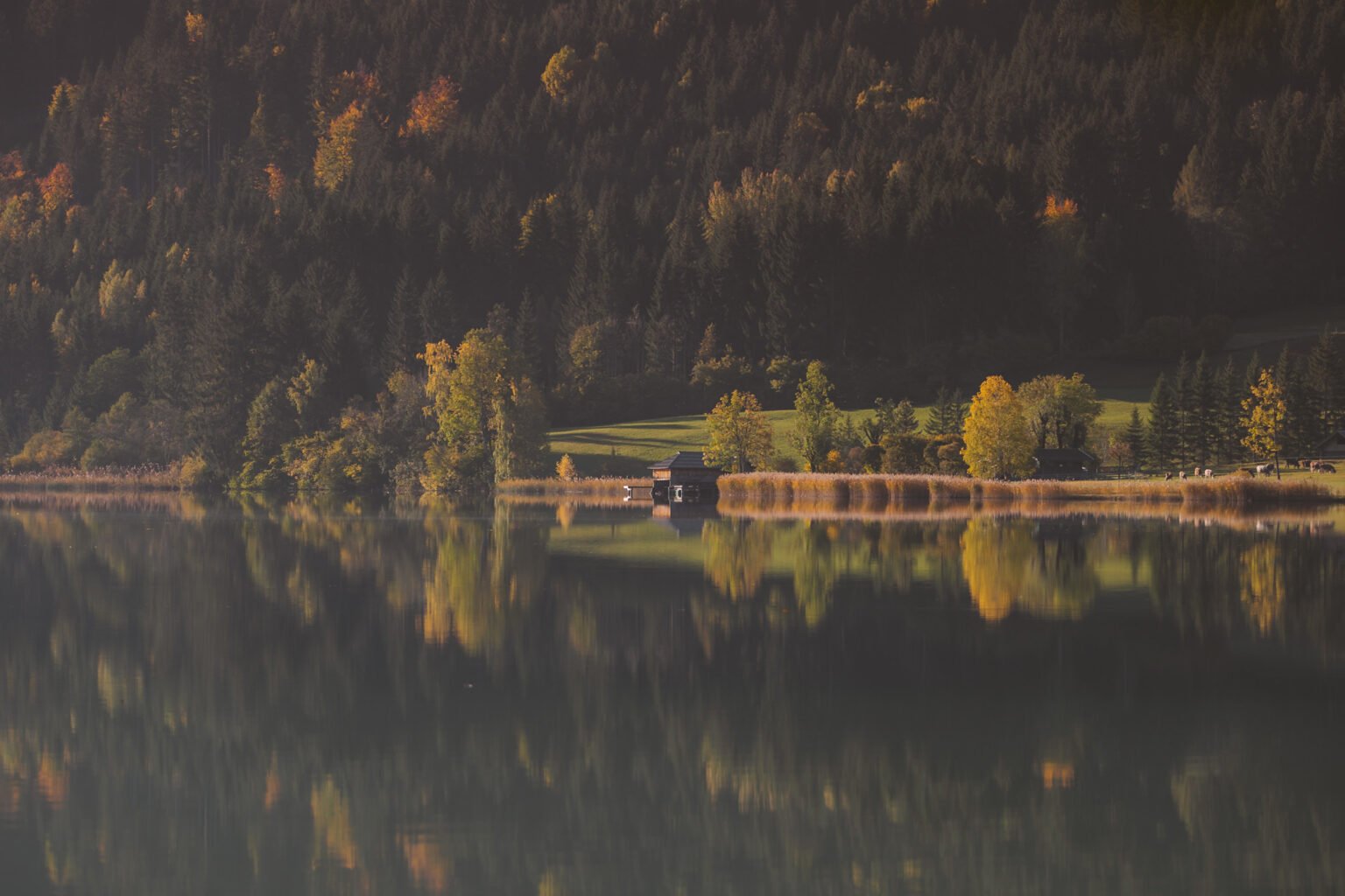 The ultimate Austria Autumn Bucket List – THETRAVELBLOG.at – Curious ...