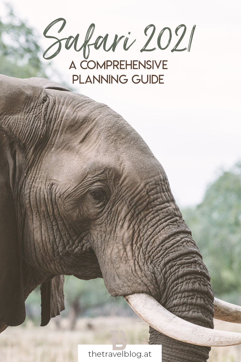 How to plan a safari in 2021 - a comprehensive guide to safari trips during COVID-19