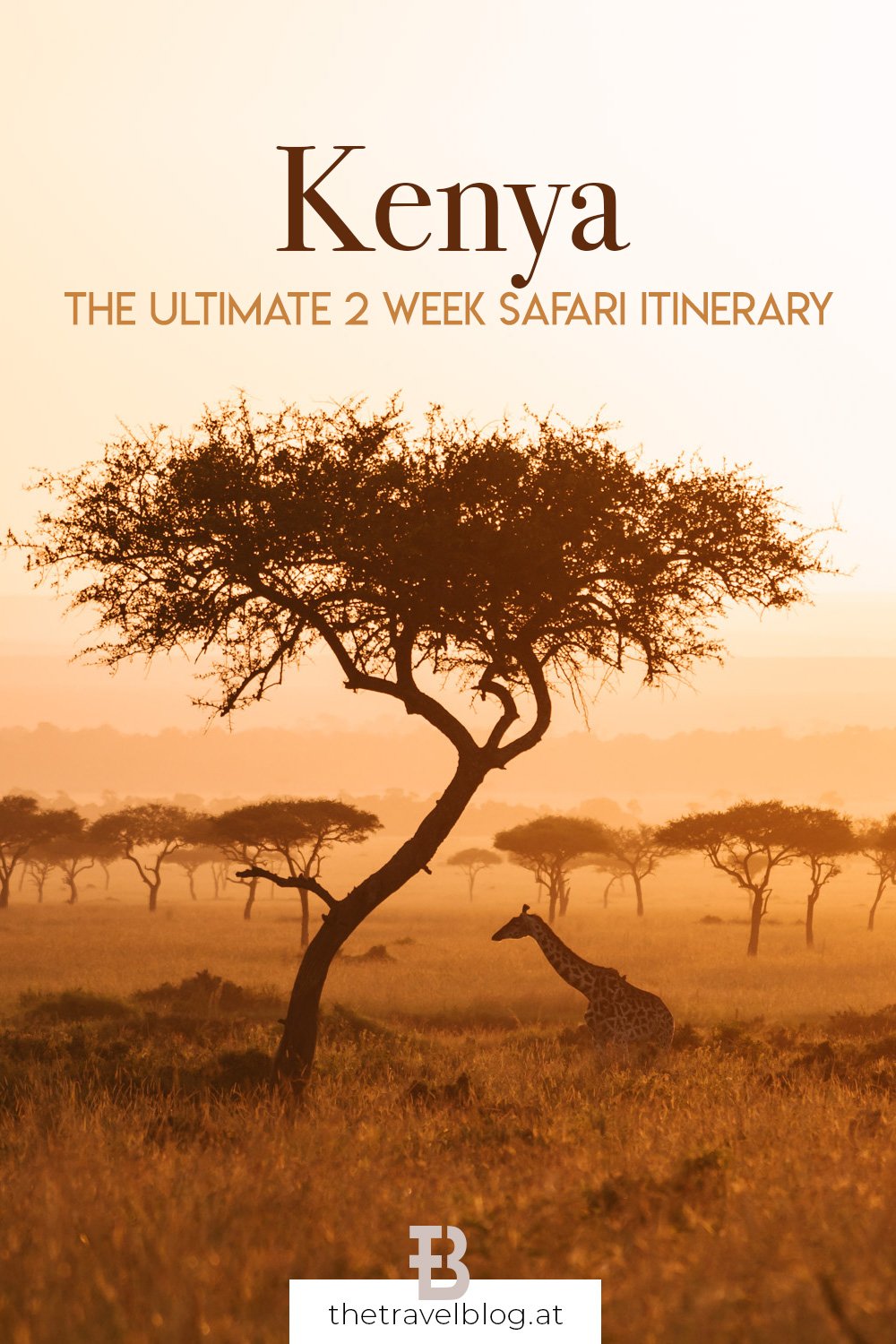 2 week Kenya safari itinerary