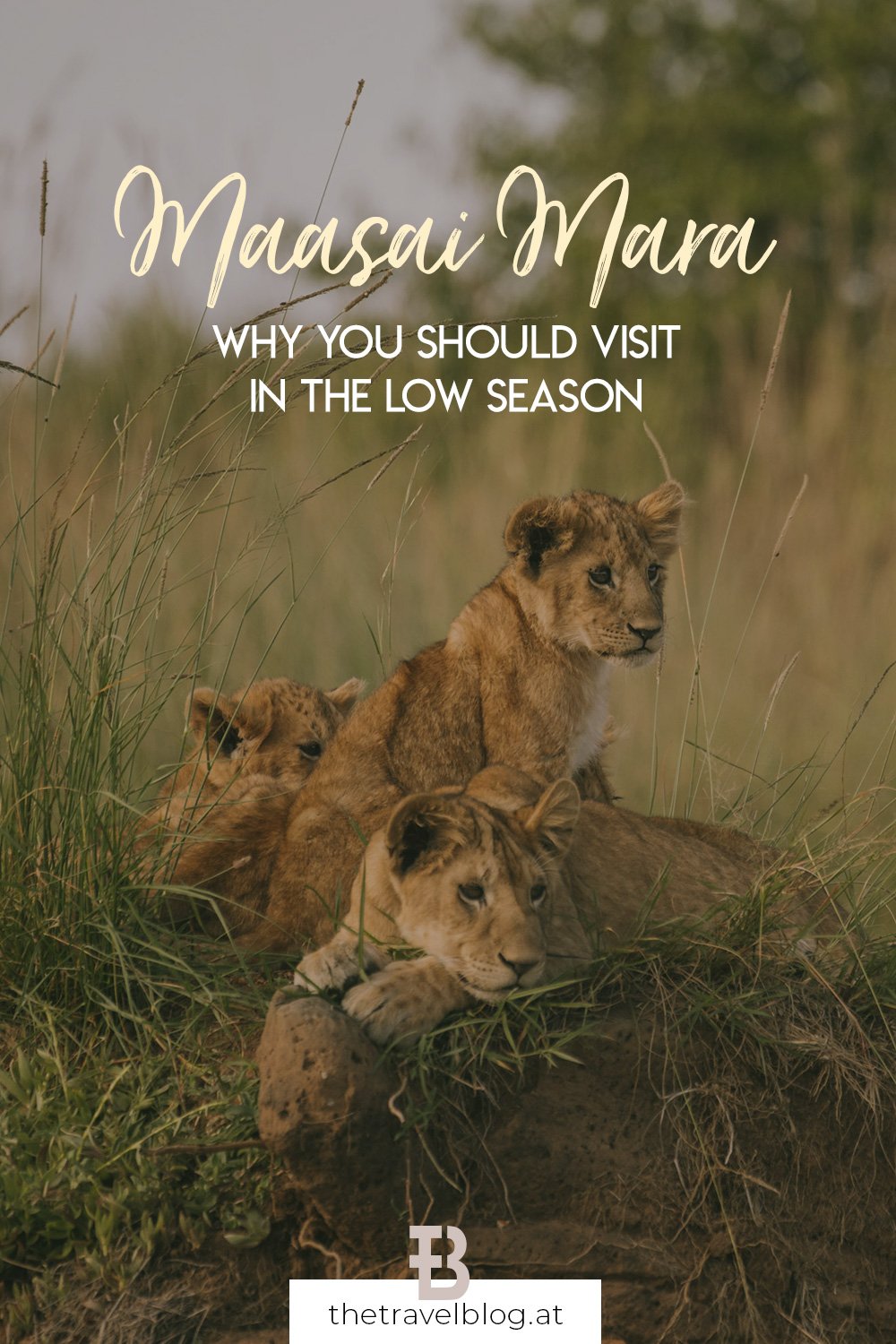 Everything you need to know about the Maasai Mara in Kenya
