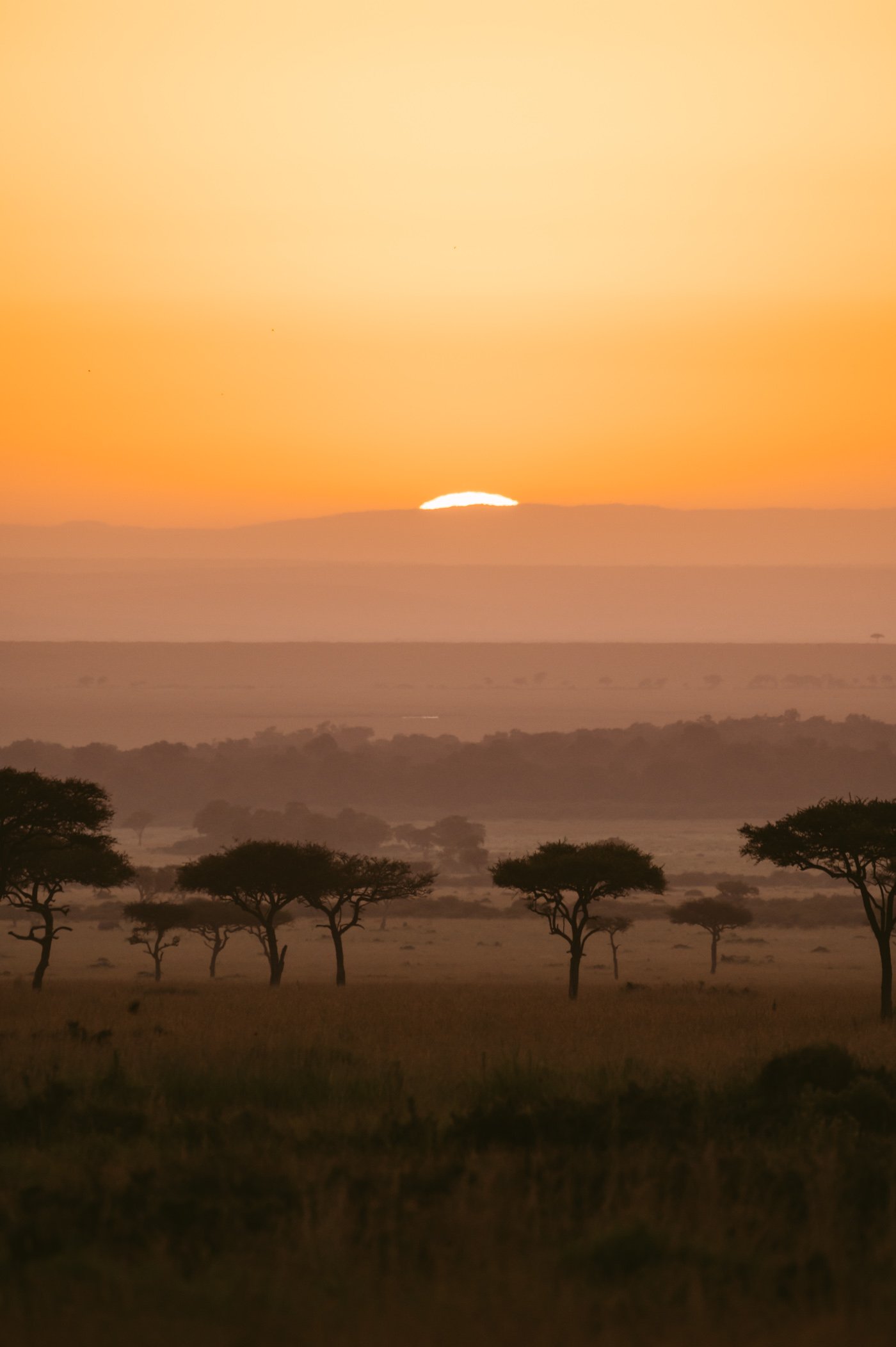 Sunrise in the Mara Triangle in Kenya
