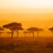 Sunrise in the Mara Triangle in Kenya