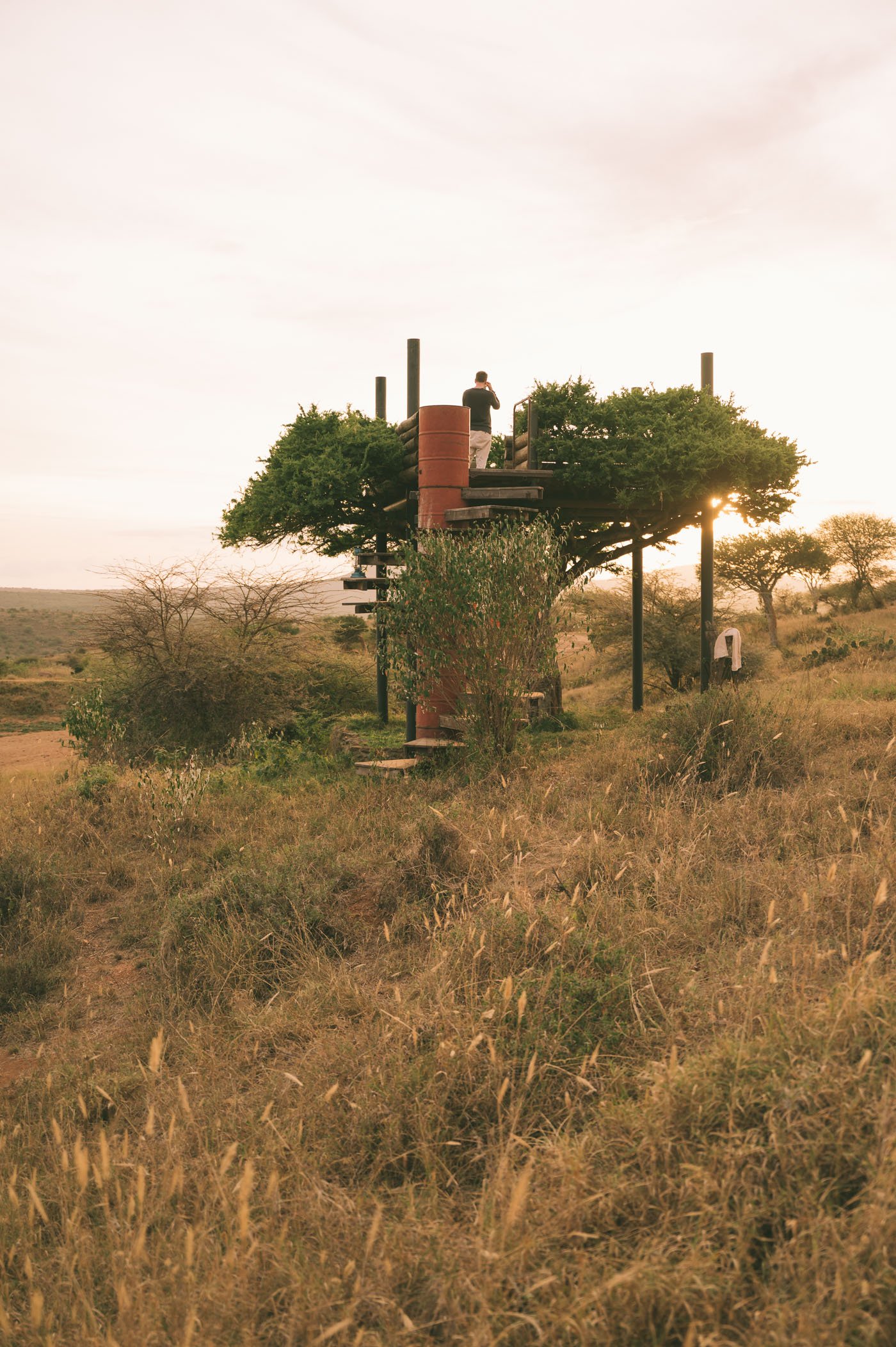 Treehouse star bed at Ol Malo Lodge Samburuland Laikipia Plateau Kenya