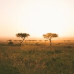 Maasai Mara Kenya