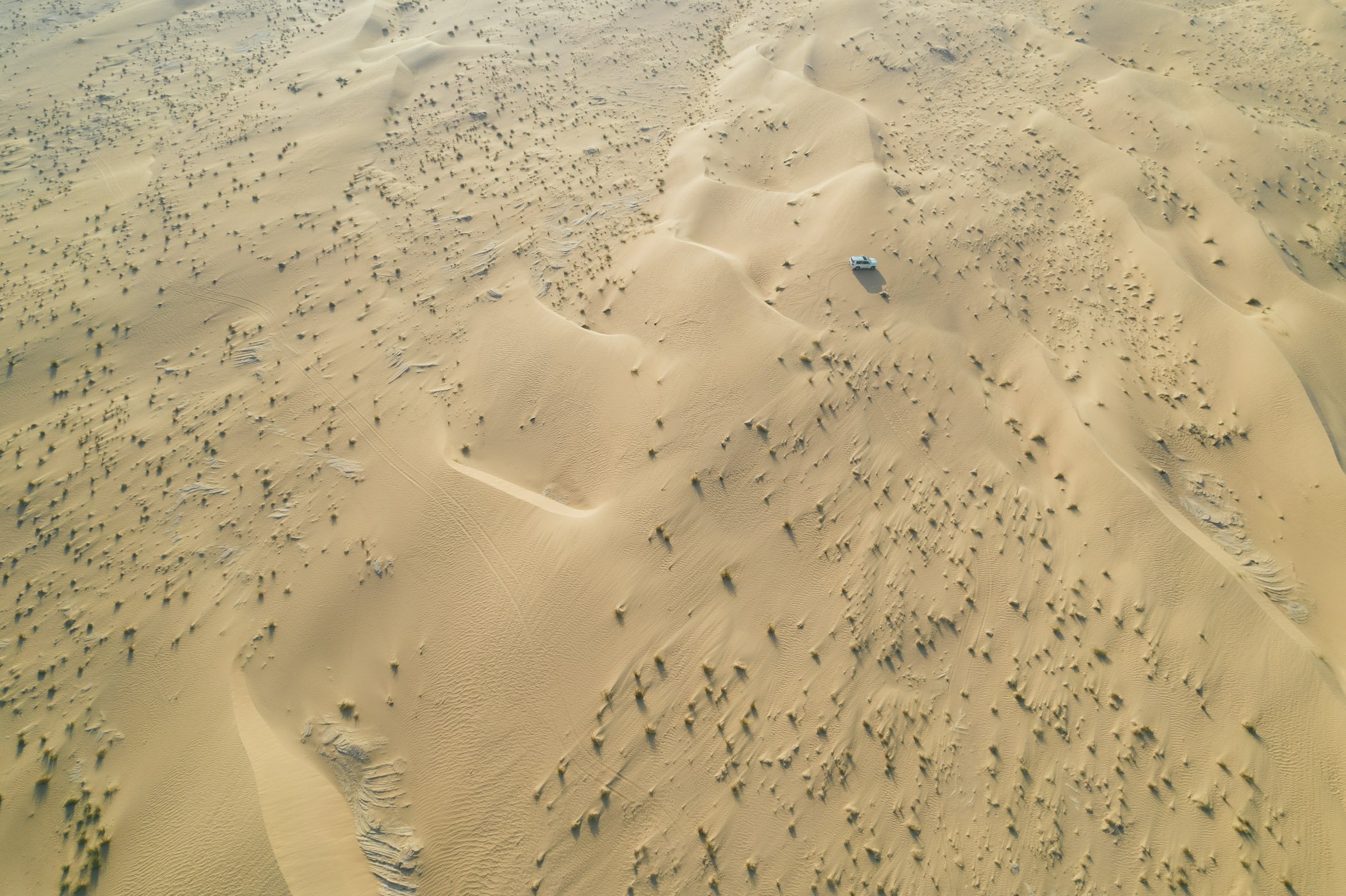 Offroad desert tour in Dubai