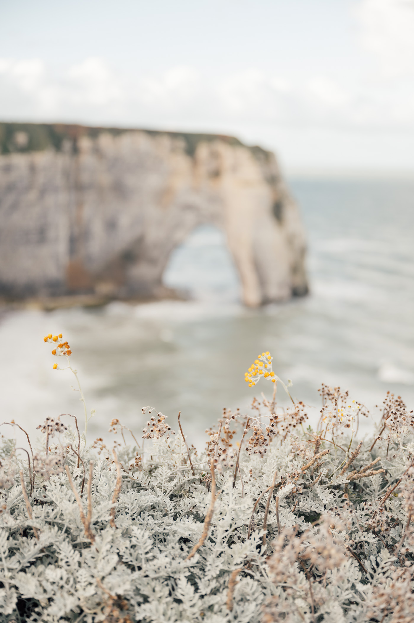 Étretat chalk cliffs in Normandy, France