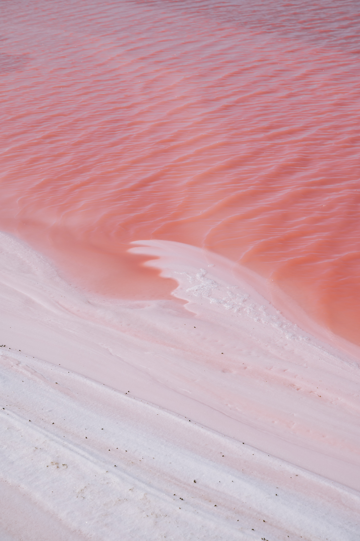 Pinklagoon