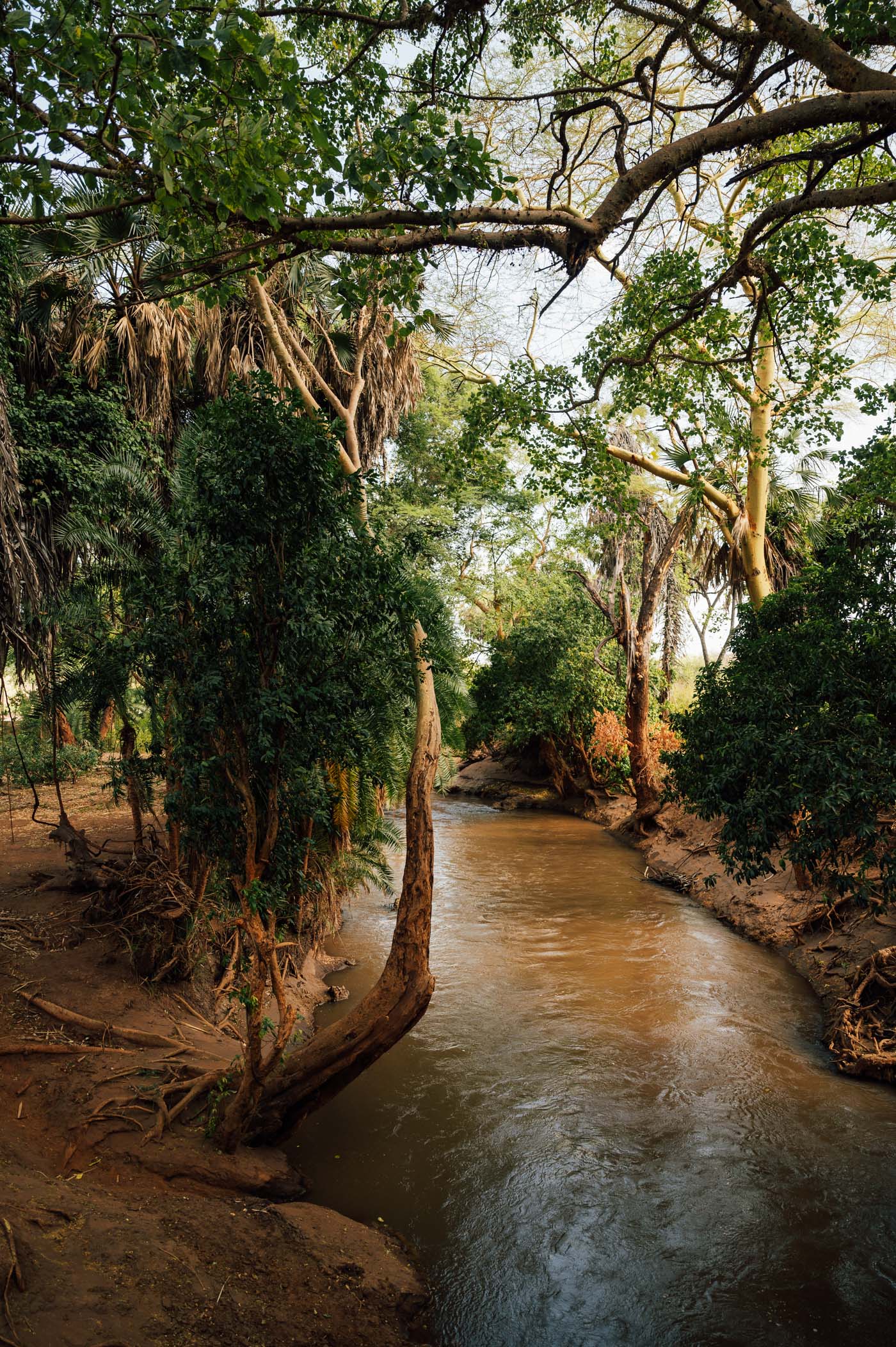 Tsavo River - one of the water lifelines of Tsavos National Parks