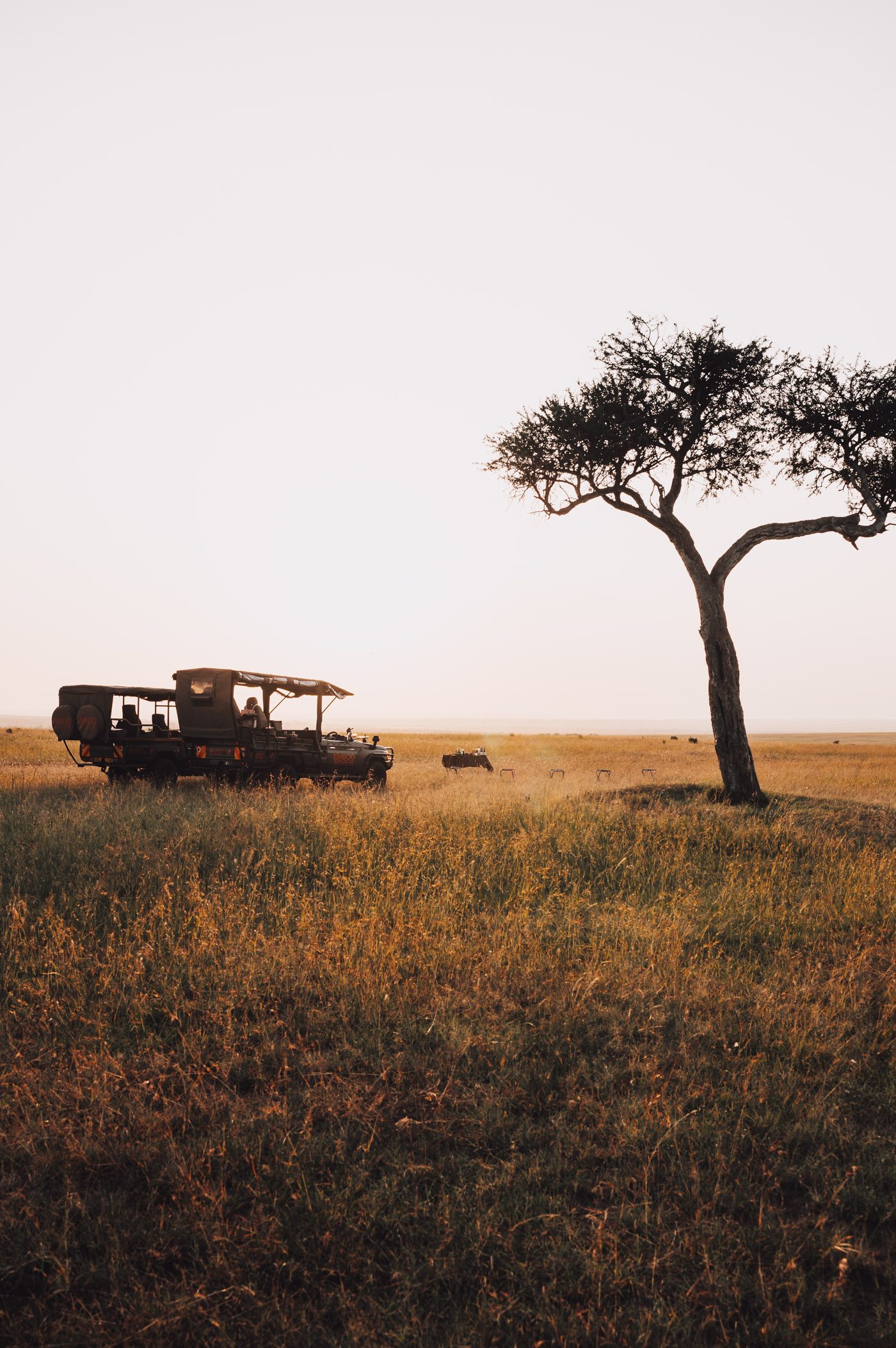 Eco luxury safari in Kenya's Maasai Mara with Emboo River Camp and their electric safari vehicles
