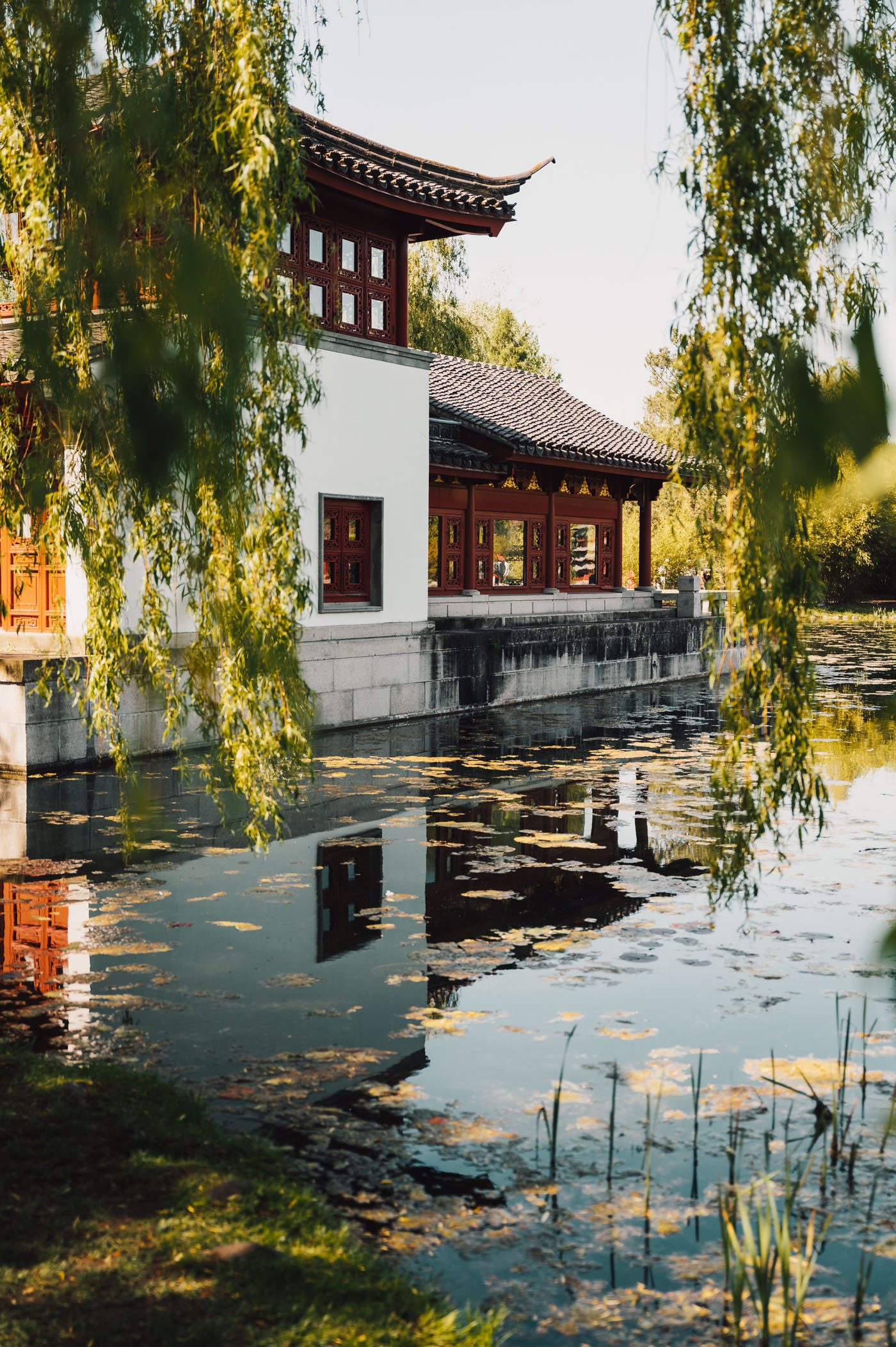 Chinese garden at Gardens of the World in Berlin