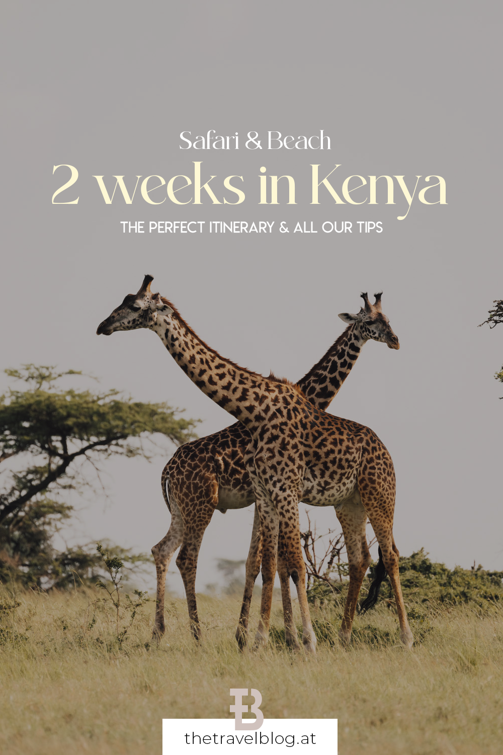 2 weeks in Kenya - Safari and beach itinerary with all our tips for a perfect trip