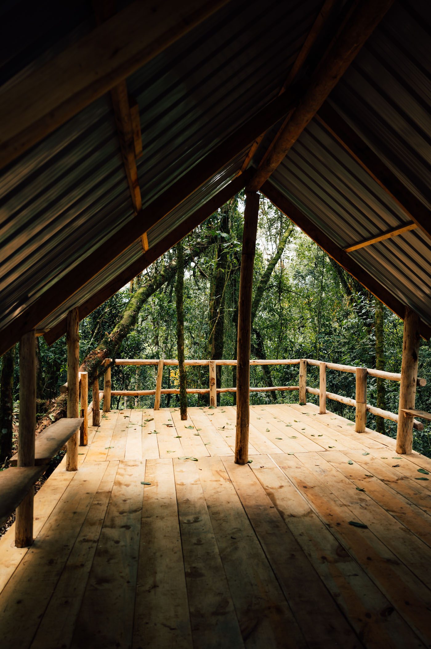 Campsite at Kisagura in Nyungwe National Park in Rwanda