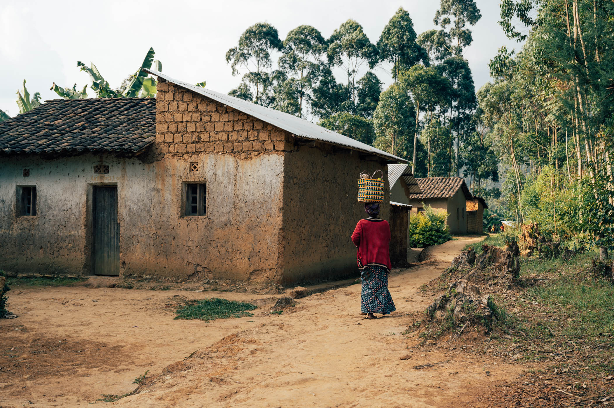 Banda village next to Nyungwe National Park in Rwanda
