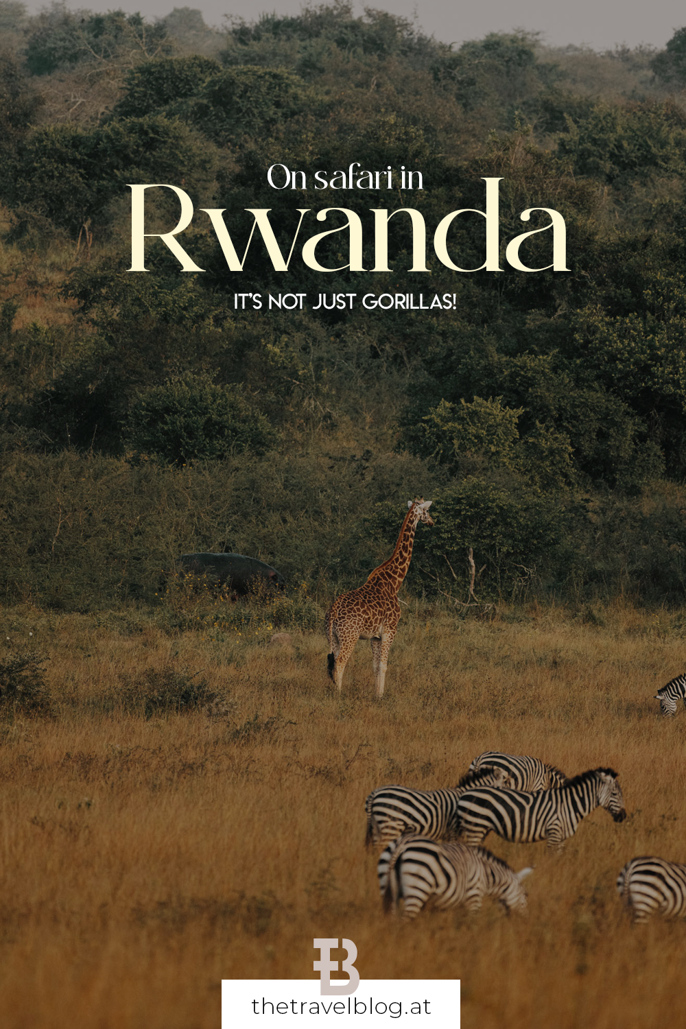 On safari in Akagera National Park in Rwanda