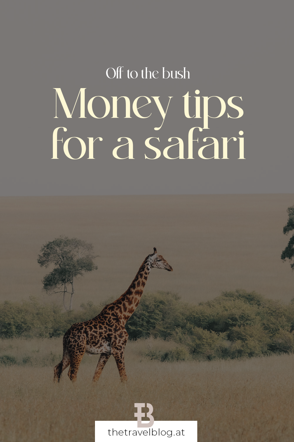 Going to the bush? Here are the most important tips when it comes to money on a safari!