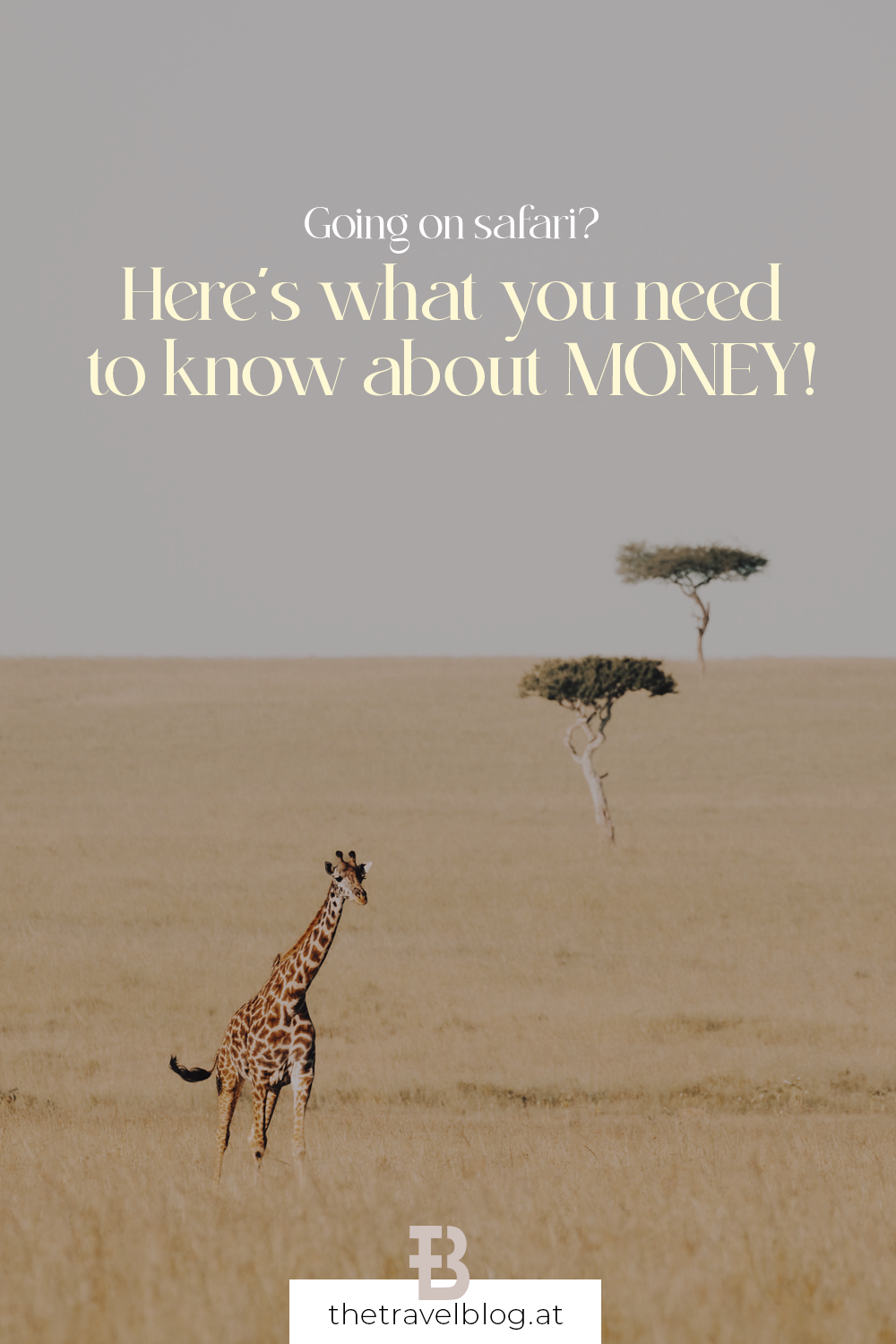 Going to the bush? Here are the most important tips when it comes to money on a safari!