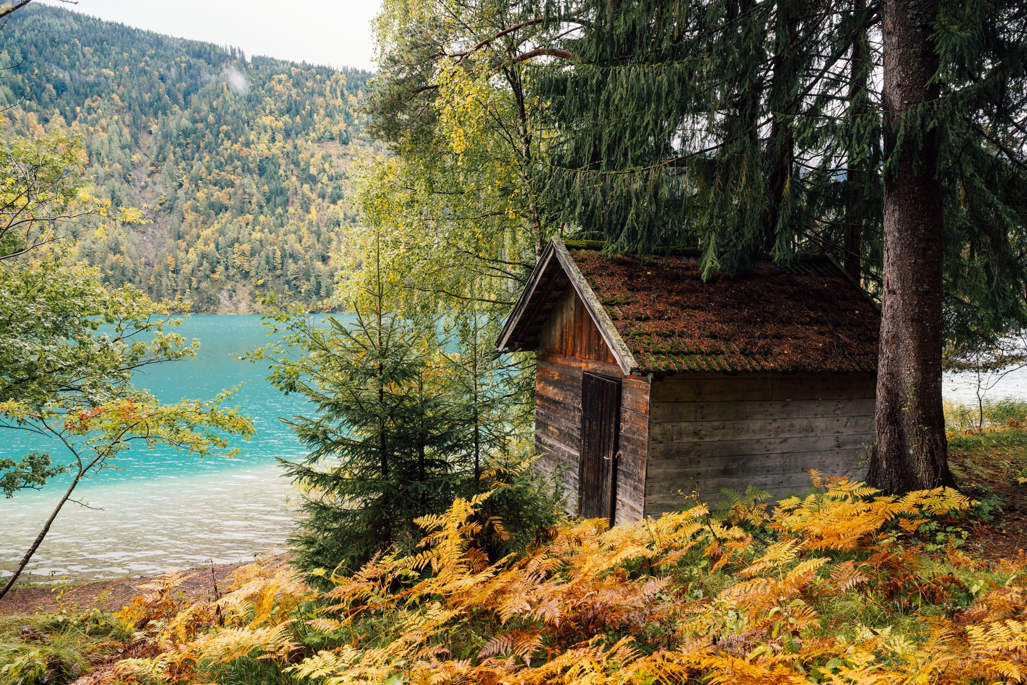 The Northern shore of lake Weissensee