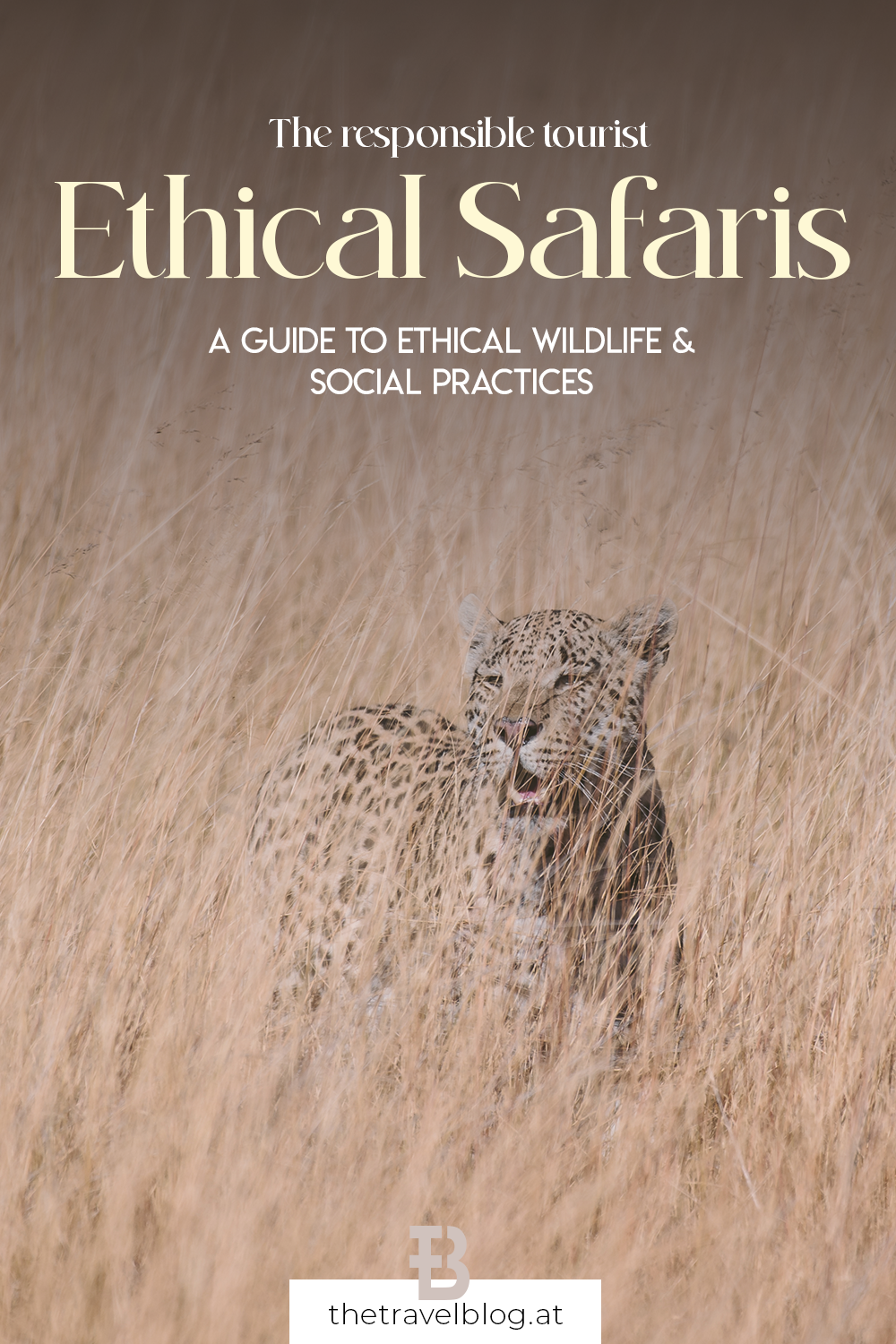 Ethical safaris: A travel guide for responsible safaris that protect wildlife and support people