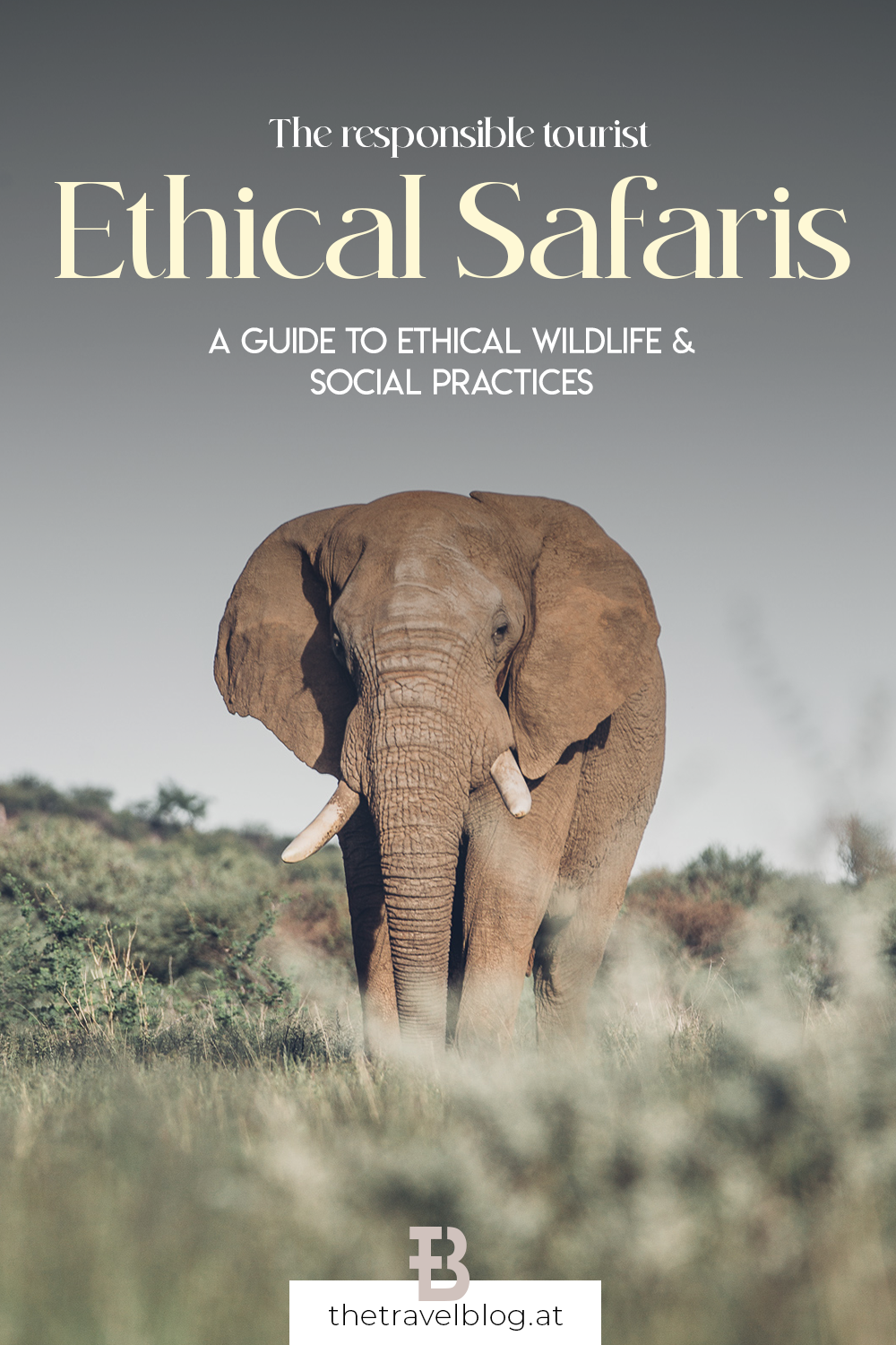 Ethical safaris: A travel guide for responsible safaris that protect wildlife and support people