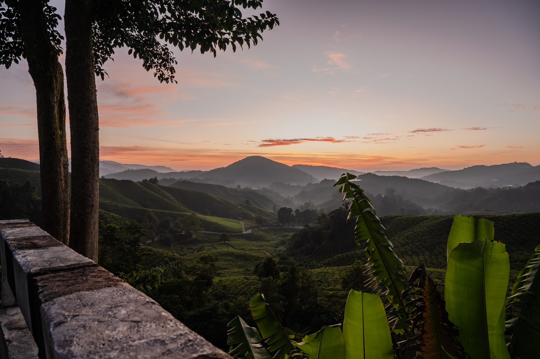 Sunrise over the tea plantations at Cameron Highlands - part of a 3 week Malaysia itinerary